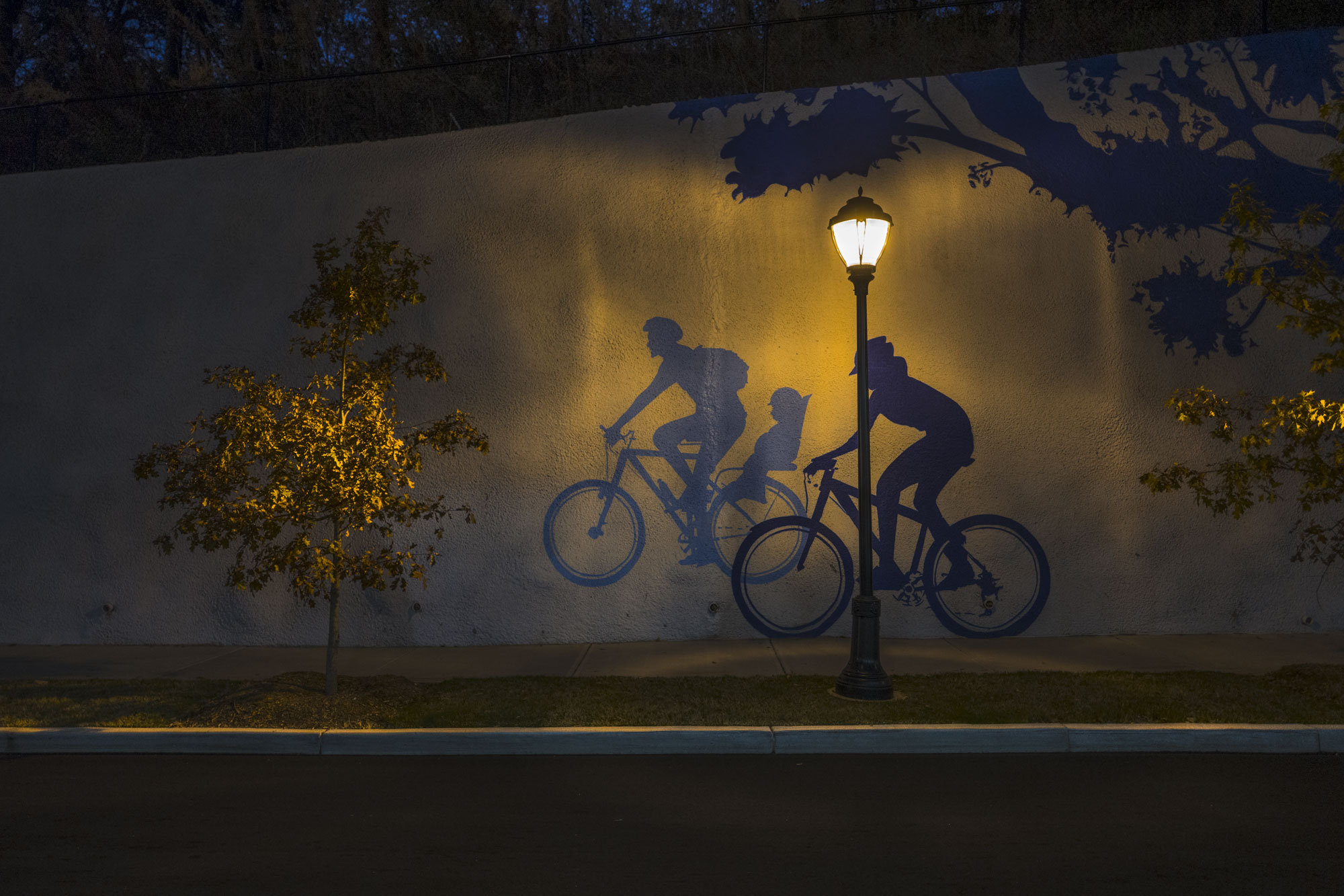 Kroger Bicycles.JPG