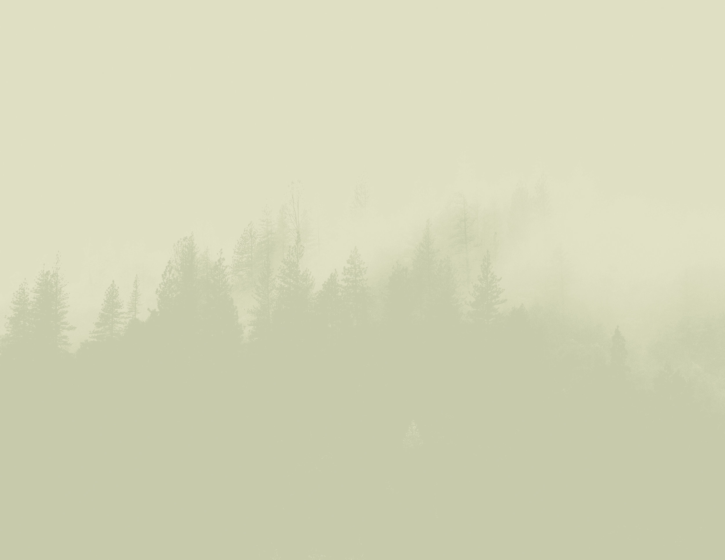background-3.jpg