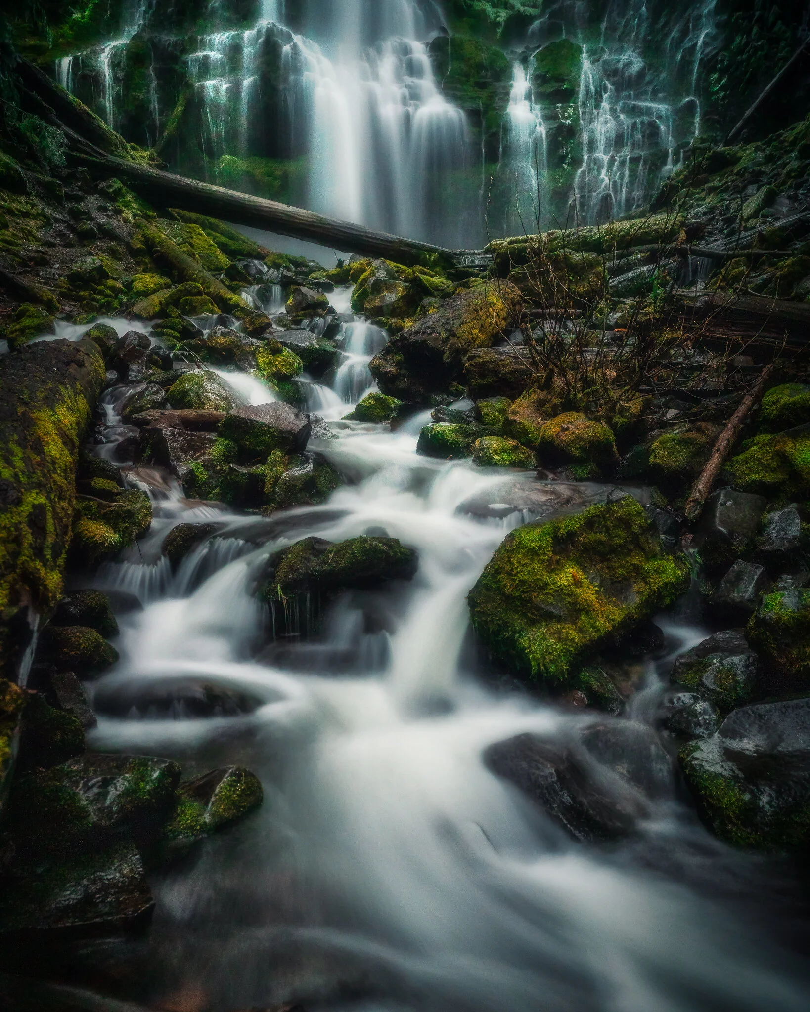 20201.1.9-Proxy-Falls-Hike-99-Edit-Midres.jpg