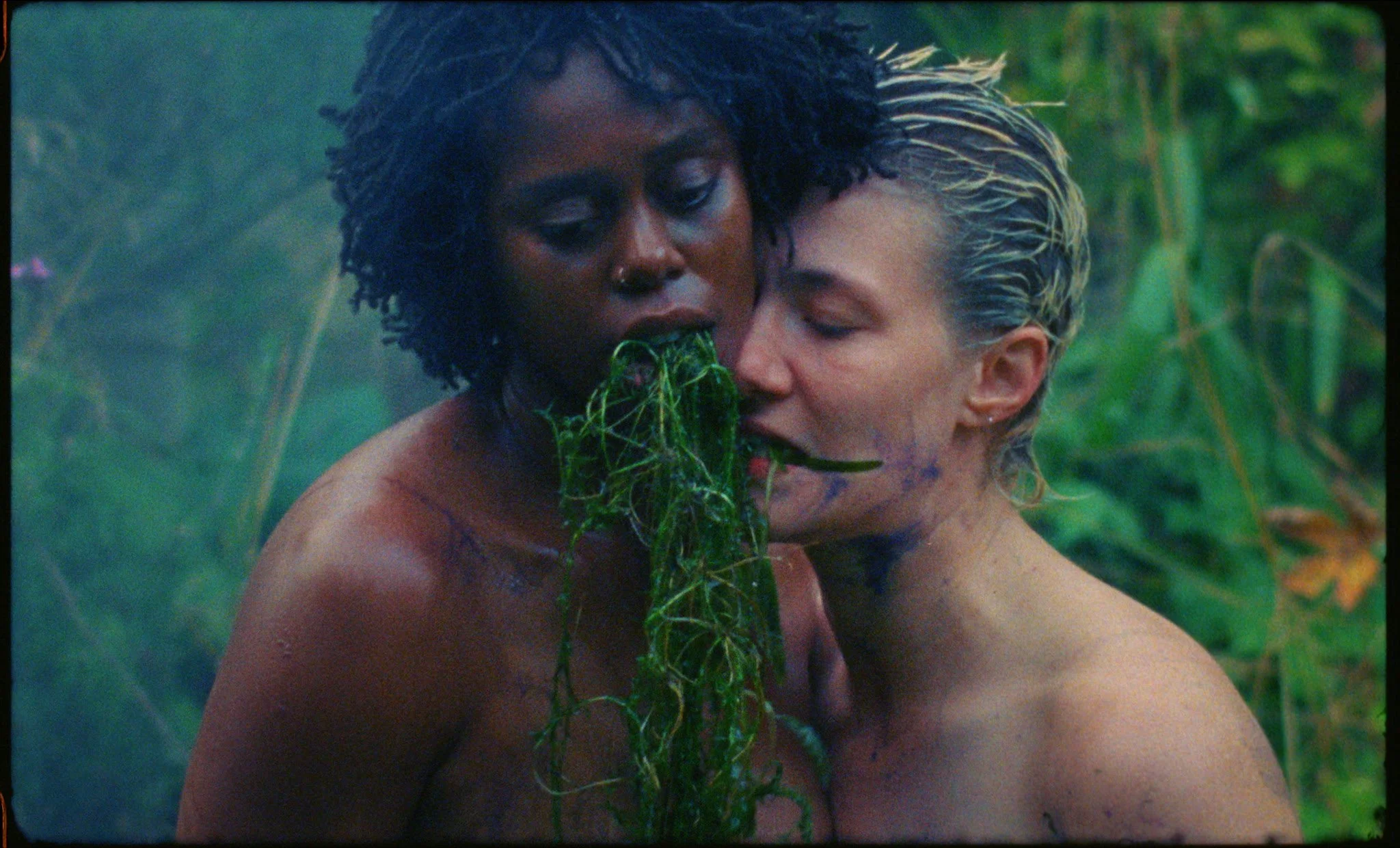 SKIN & SCALES by Darcy Wallace