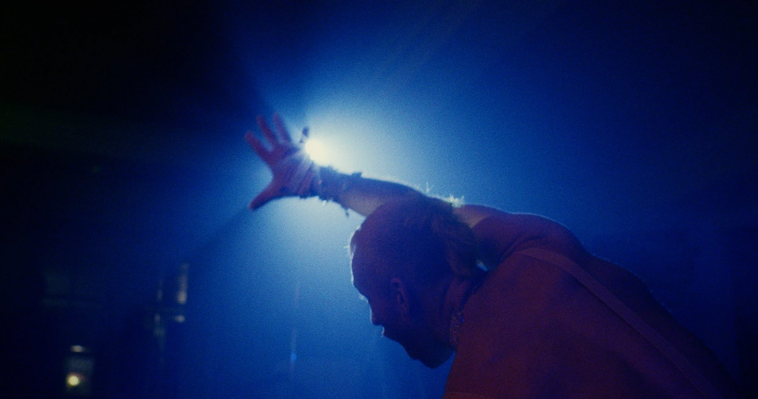 VILE DIVA by TED ROGERS (teaser)