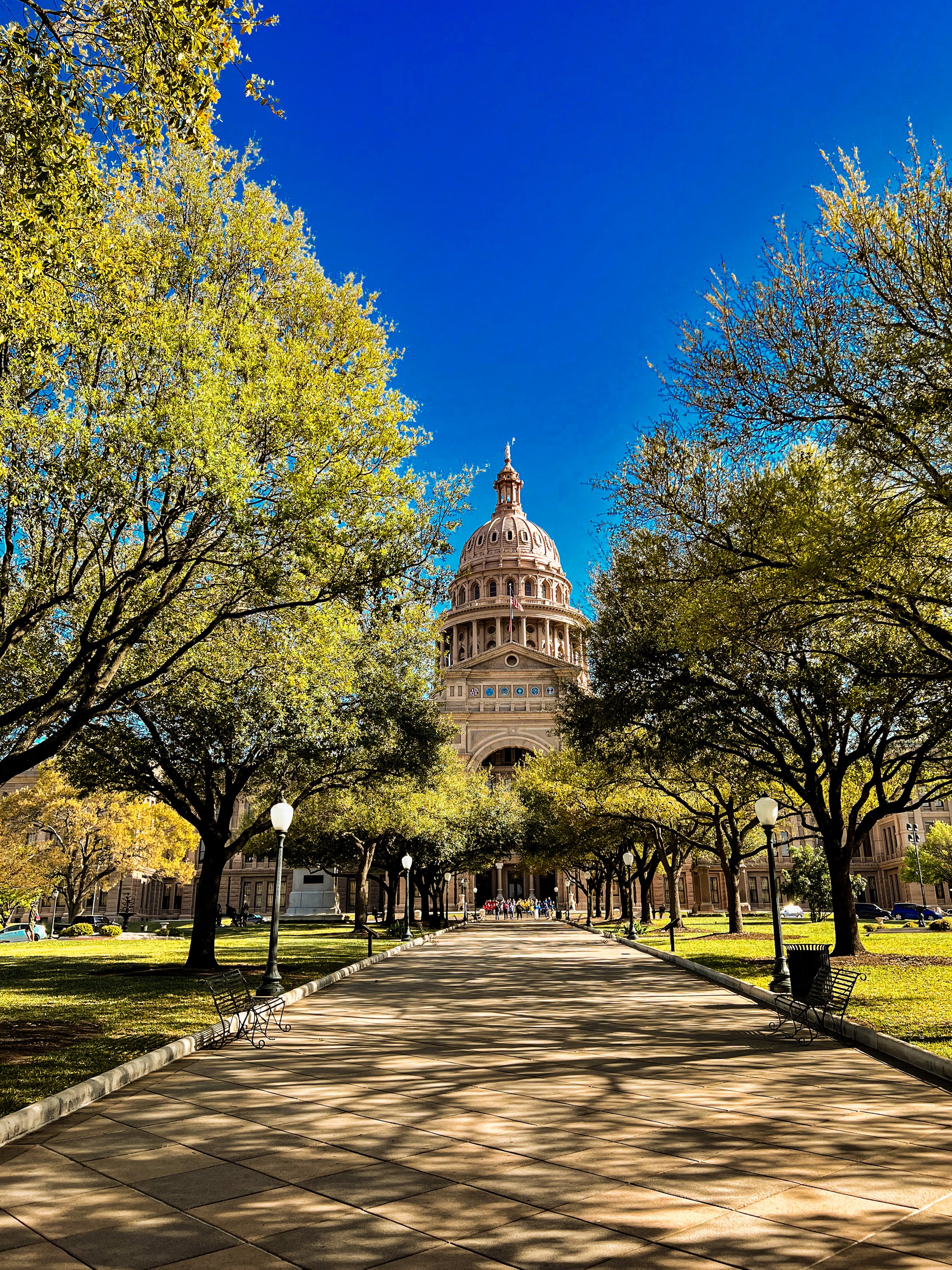 Texas State Capitol _iStock-1401614999.jpg