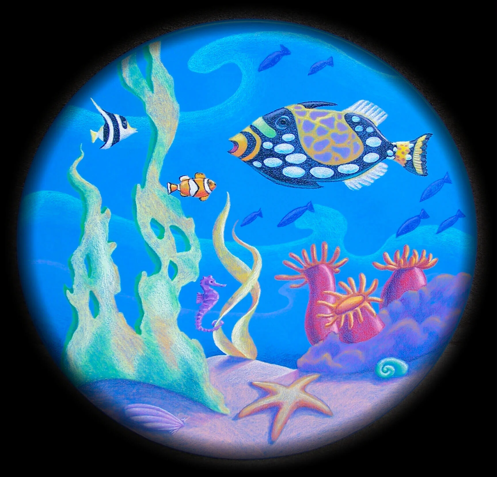 Coral Reef Porthole