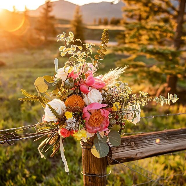 Love isn&rsquo;t canceled...💕 #letselope #elopement #flowersofinstagram #flowerstagram #coloradobride #coloradoflorist #bridalbouquet #nestedtelluride #florist #telluride #colorado 
photo: @krispiercephoto