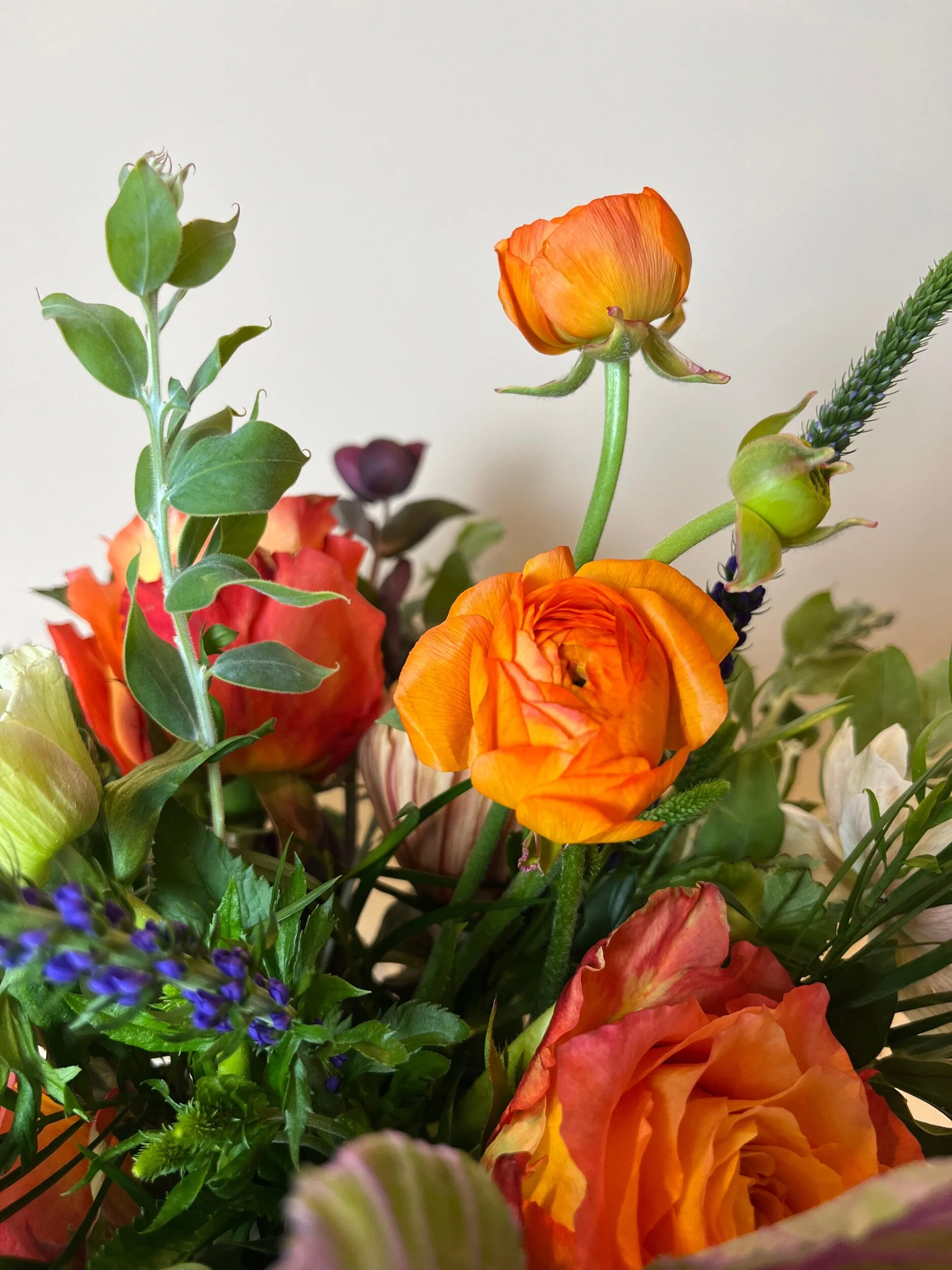 068EBCF7-D072-48E5-8517-AE6969A49B65