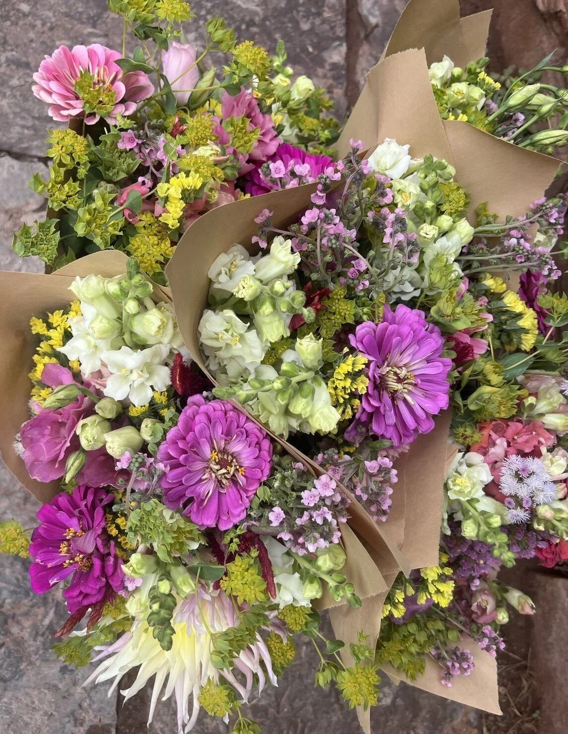 A5C6560F-2B63-4AC8-B5B6-4C6A0370CF8E