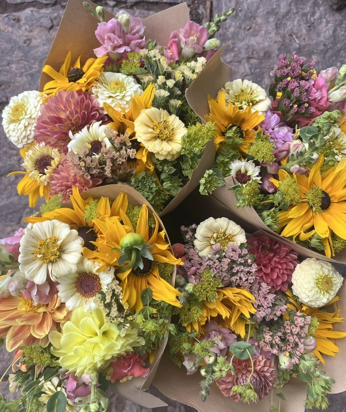 48AA1DEC-1AF3-45F1-8D10-1AD2B77E20A2