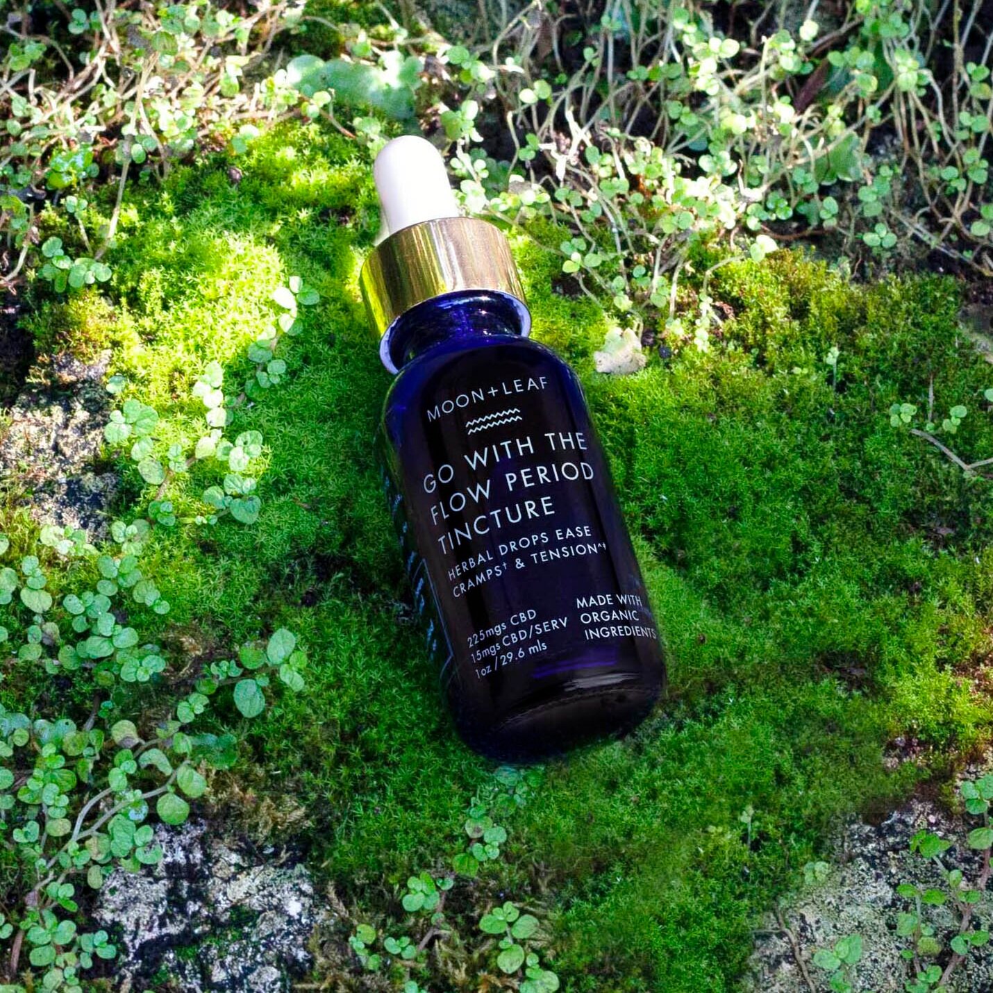 tincture_on_moss_square.jpg