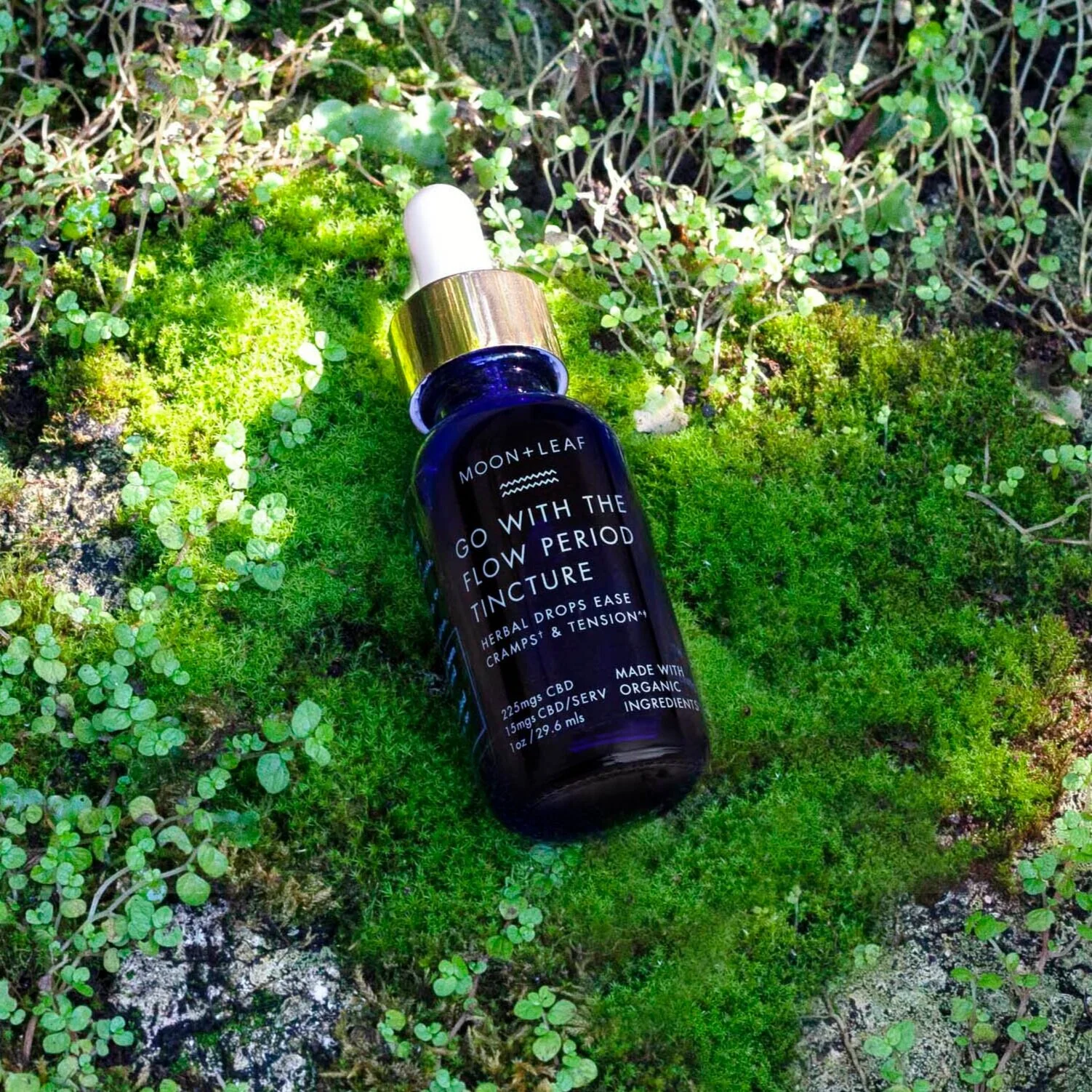 tincture_on_moss_square.jpg