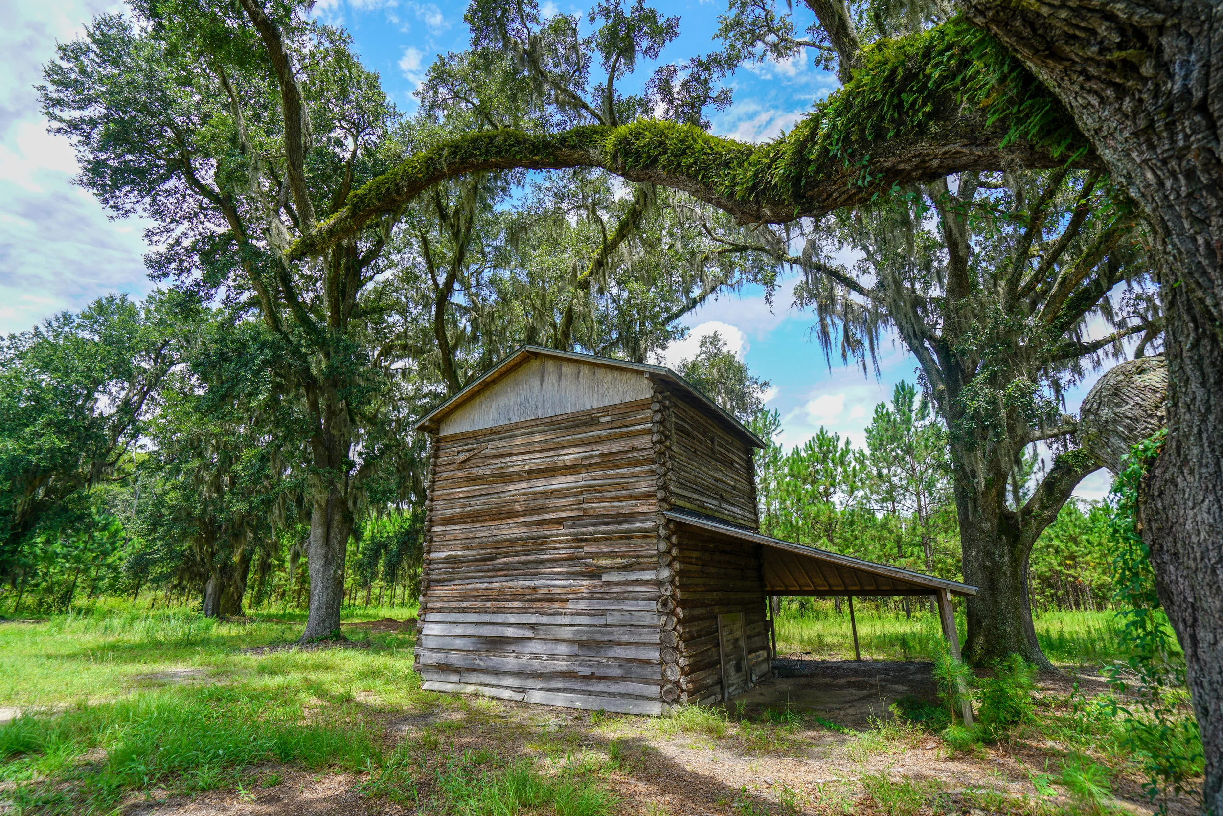 Long_County-74.jpg