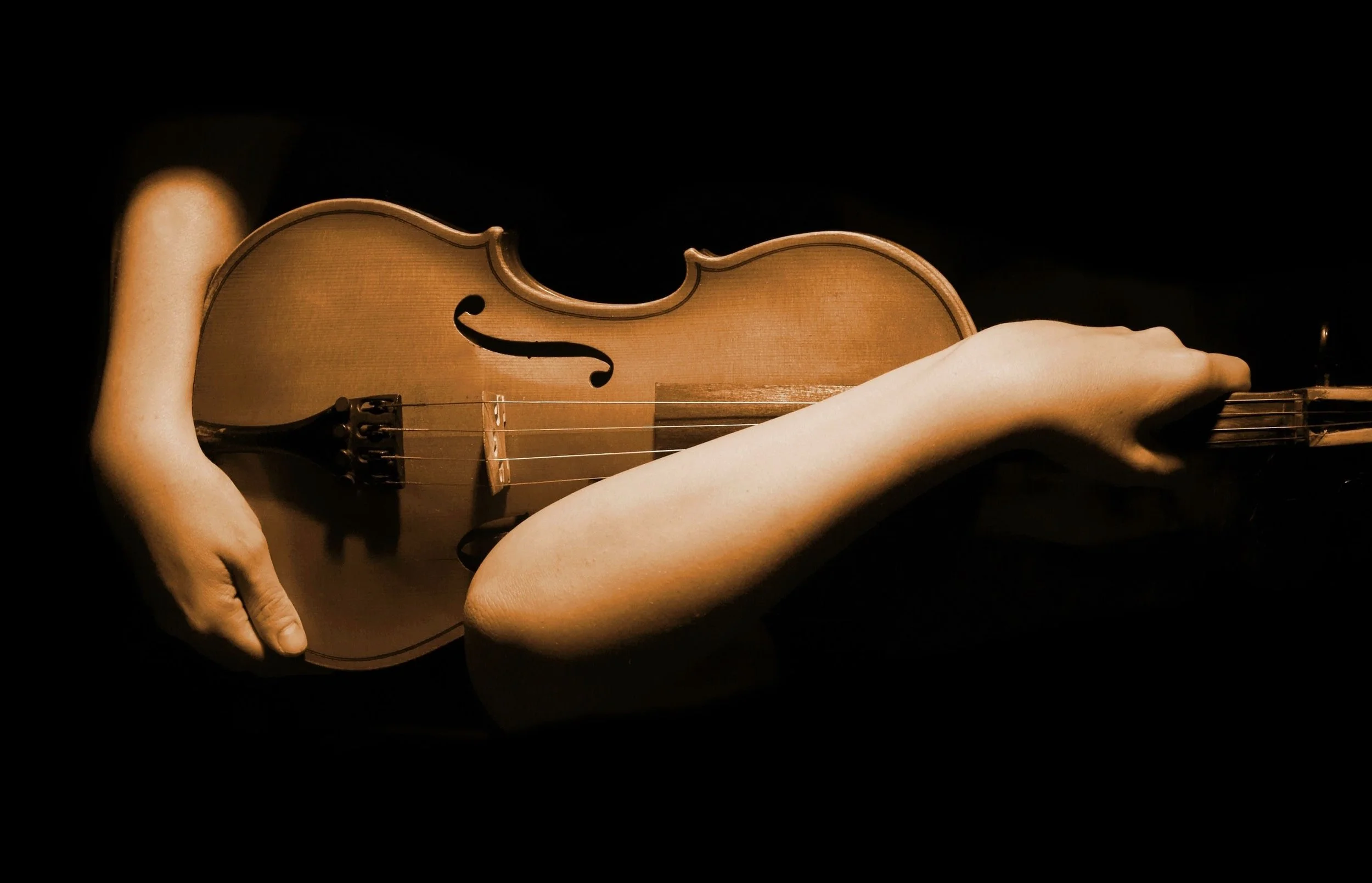 Violin.jpg