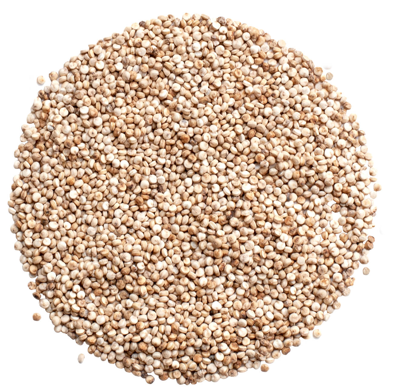 Quinoa Titicaca.jpg