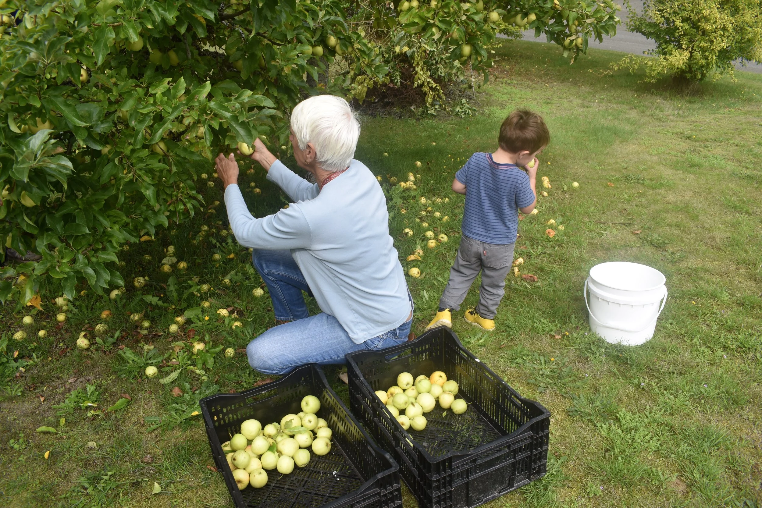 Kim and her grandson Sauvie ( https://www.saltyacresfarm.com )