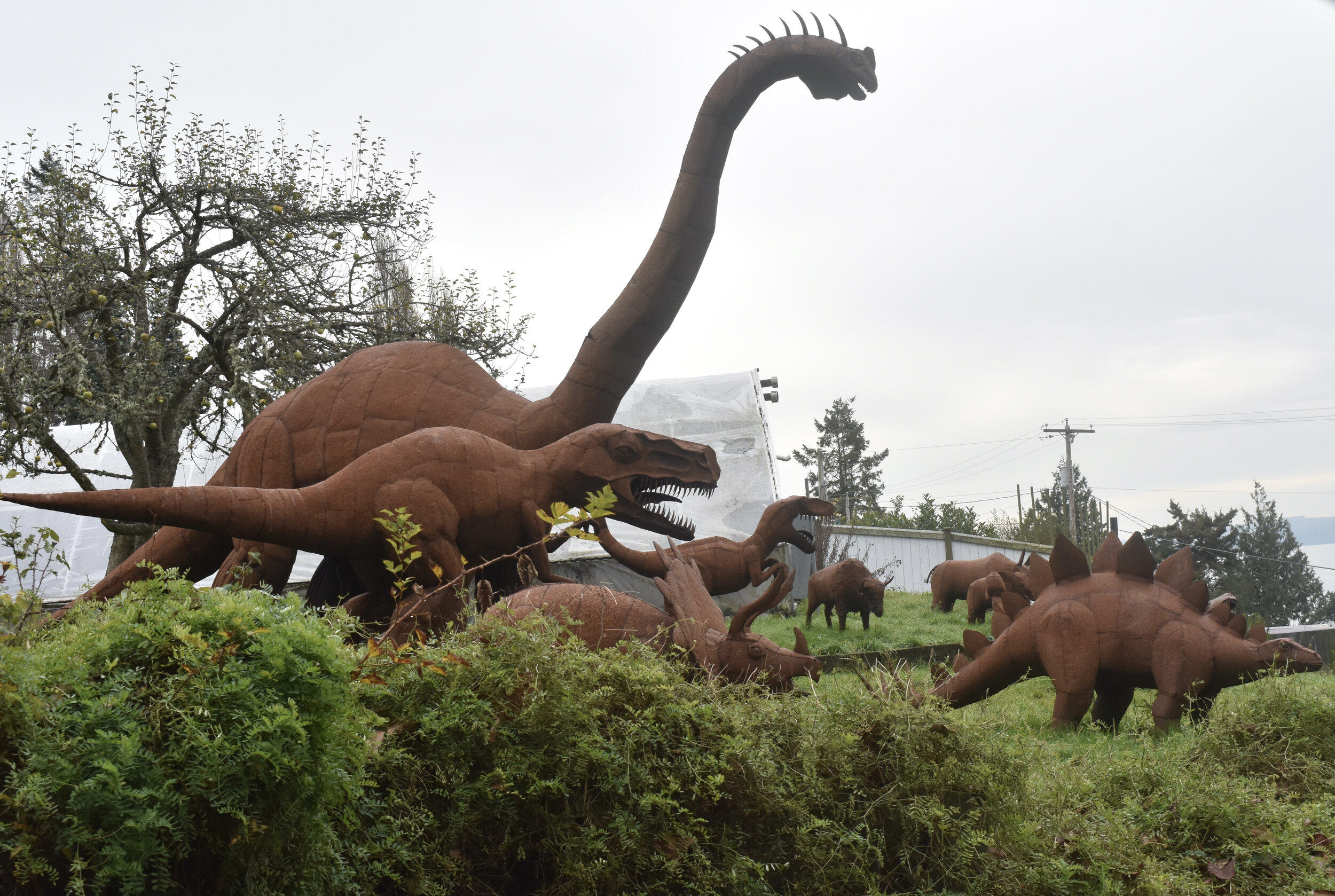 Living Whidbey Island