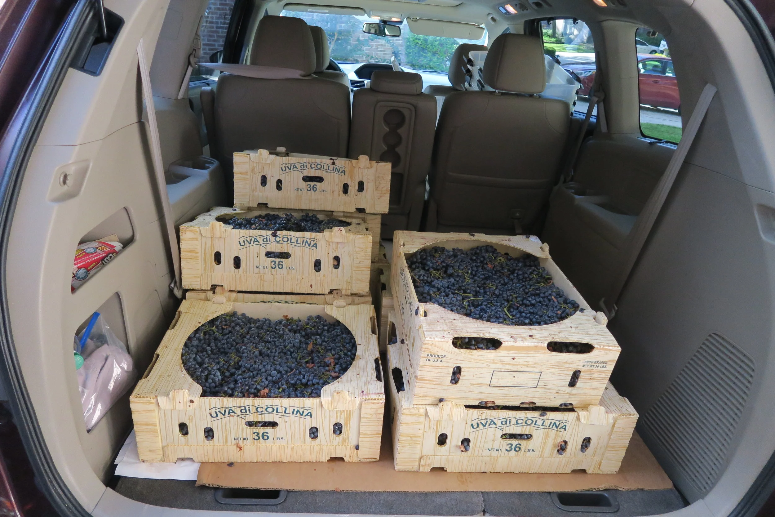 Crush 2018 is here!!