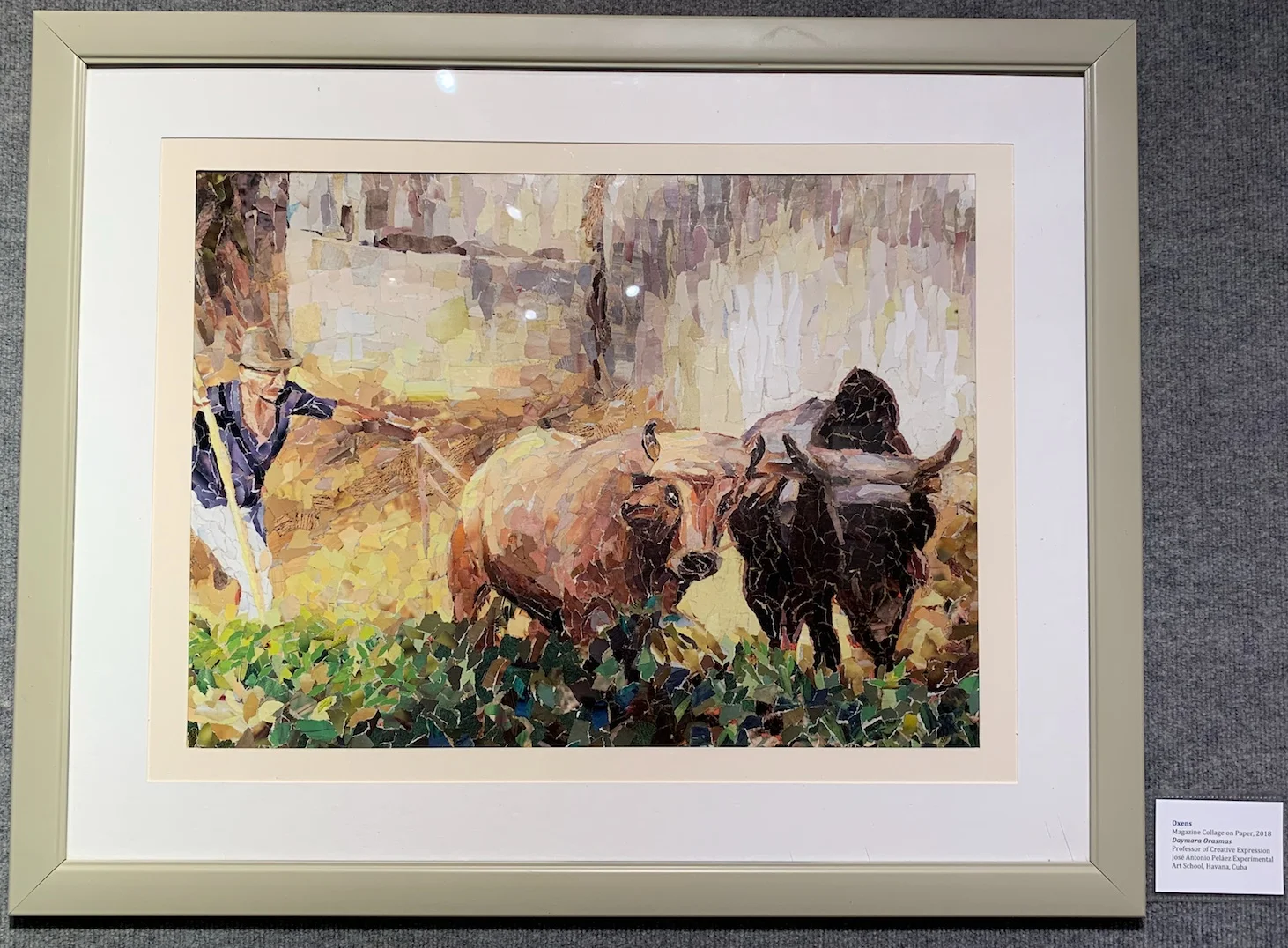 Oxens