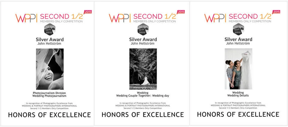 wppi-2nd-2015-award-honors-of-exellence-john-hellstrom1-1.jpg