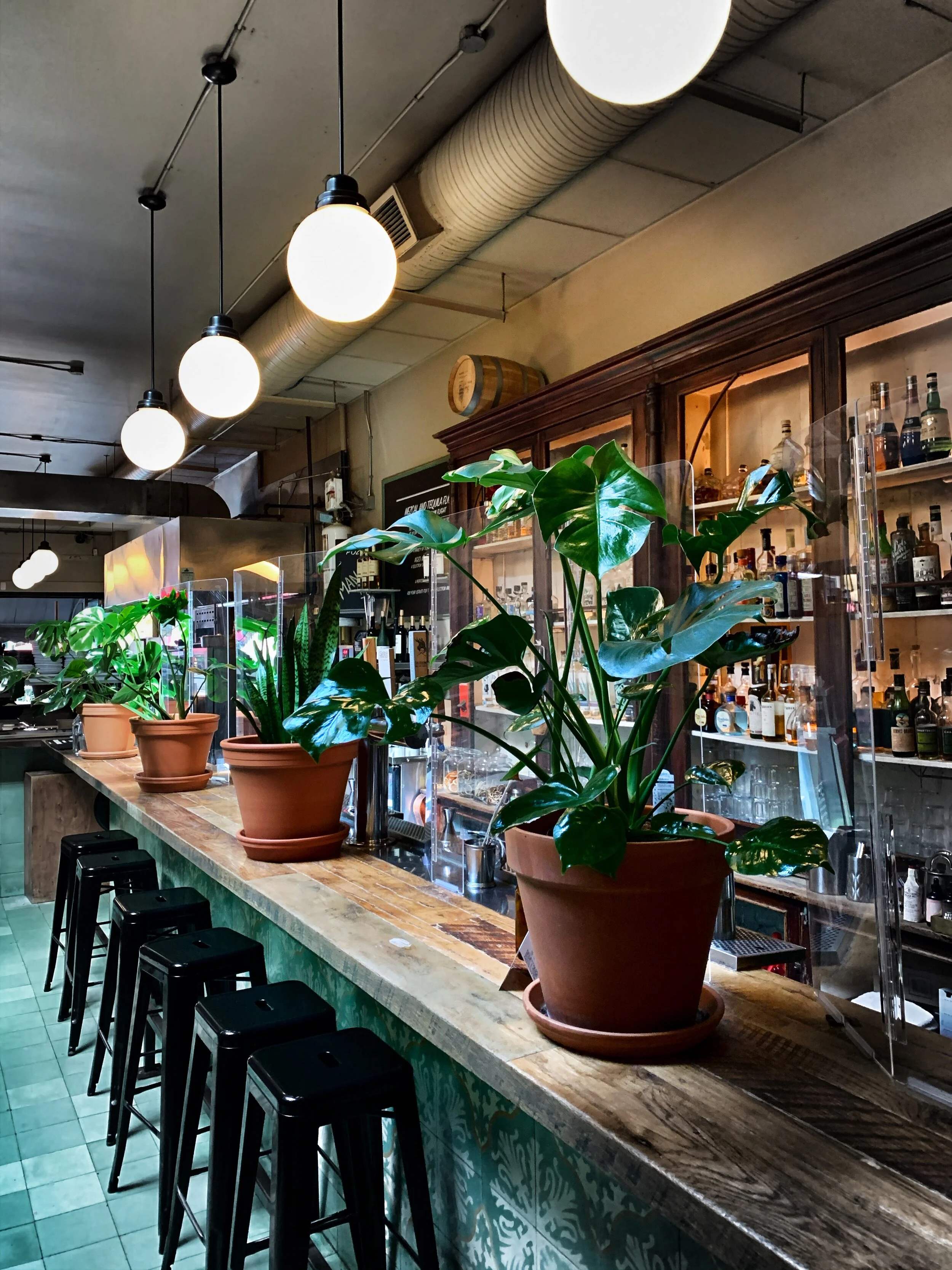 2020-08-30 11.31.04-1.JPG