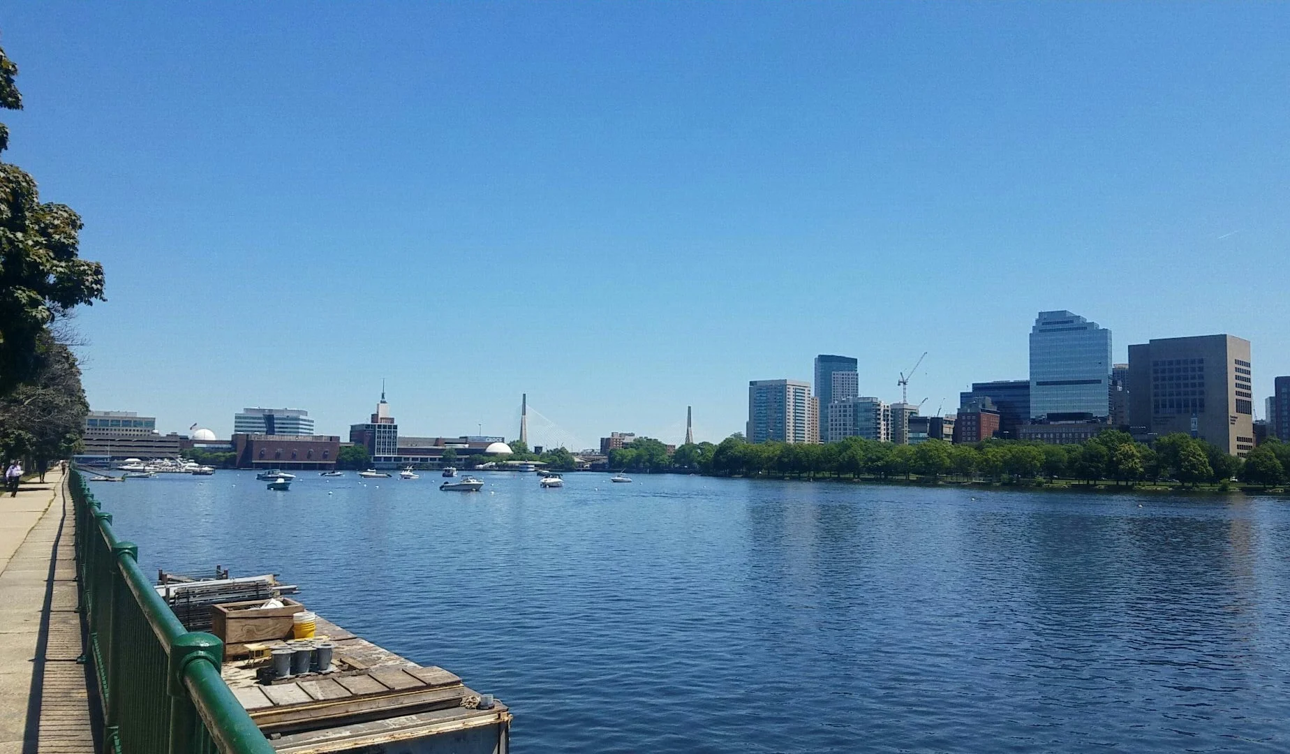 Duck Boats on the Charles River, Boston