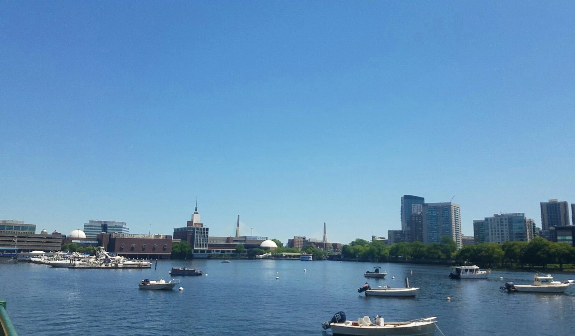 Duck Boats on the Charles River, Boston