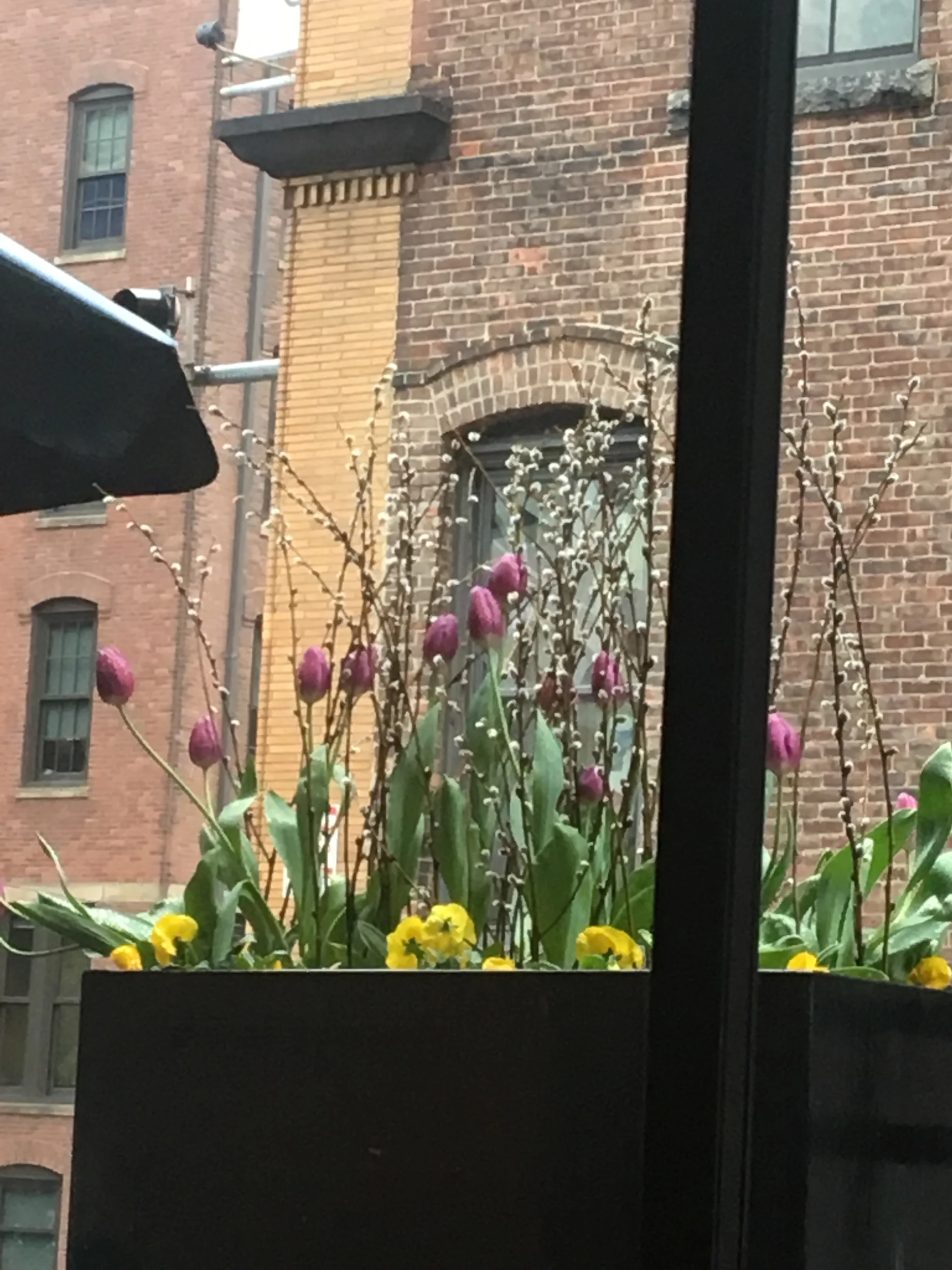 Congress Street Boston