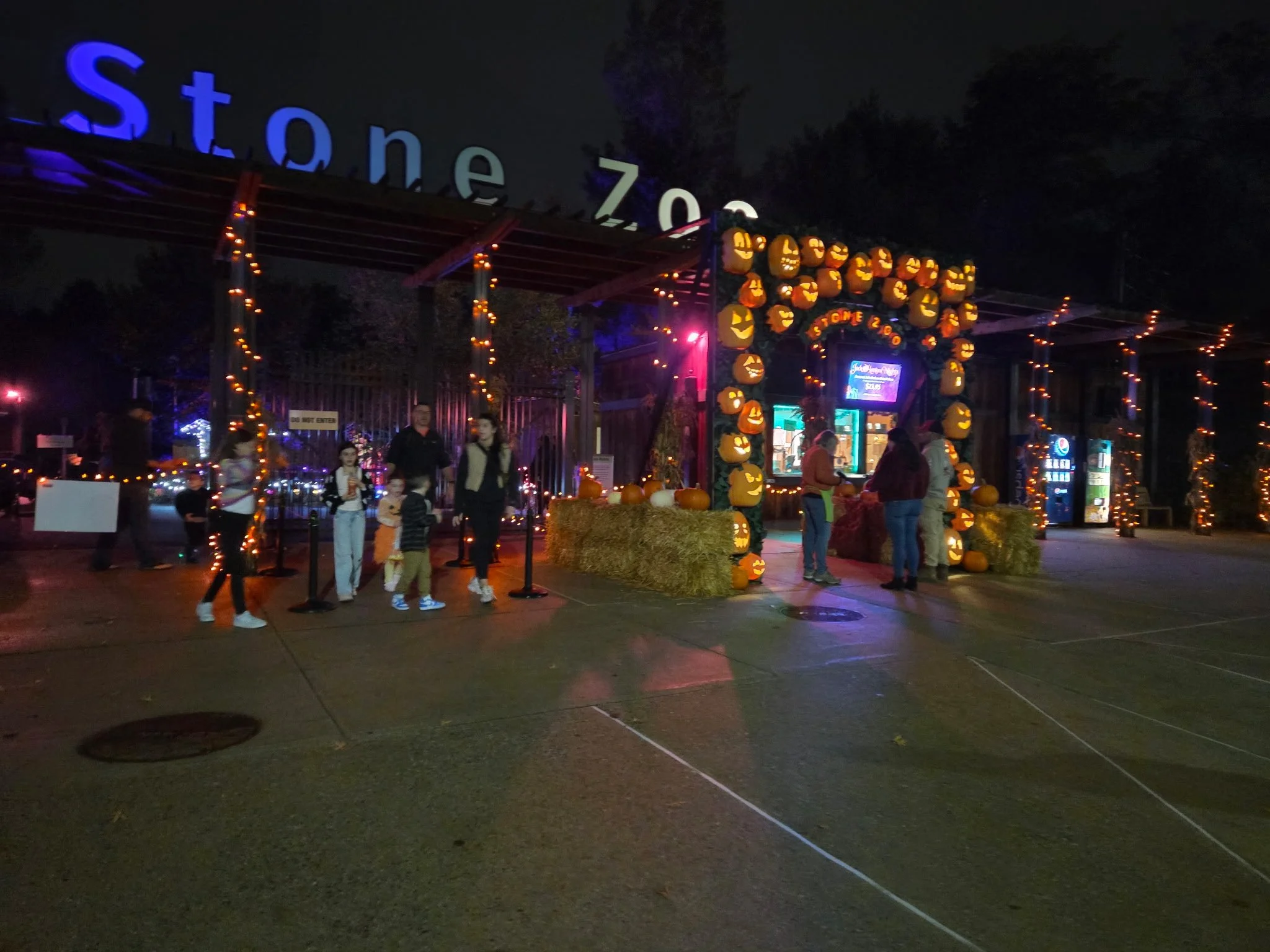 Stone Zoo Jack-O'-Lantern Nights 2026: Halloween Magic Near Boston