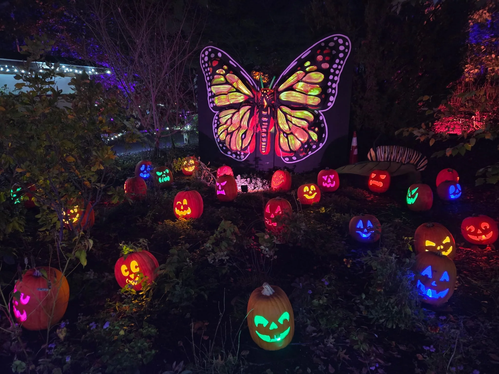 A giant illuminated butterfly rises above colorful jack-o'-lanterns along the wooded trail.