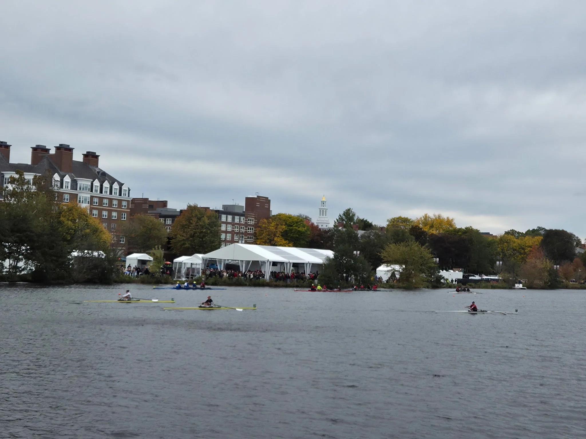 Rowers navigate the Charles River as spectators watch from the Cambridge shoreline. Photo: GoBoston.