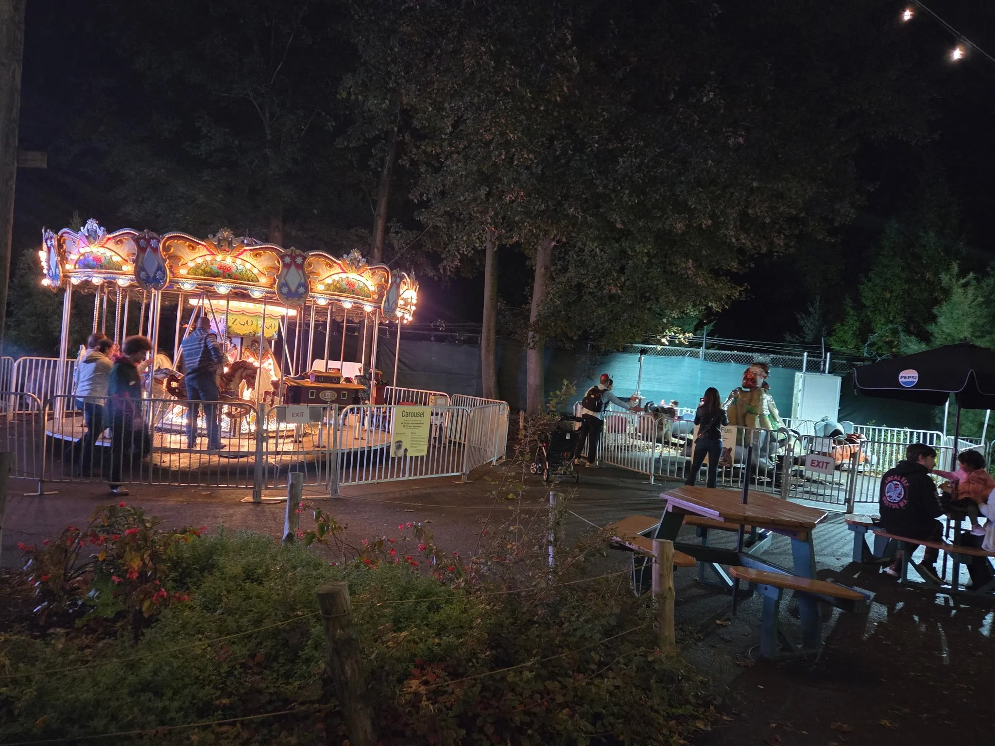 Stone Zoo's illuminated carousel adds a traditional carnival atmosphere to Jack-O'-Lantern Nights.