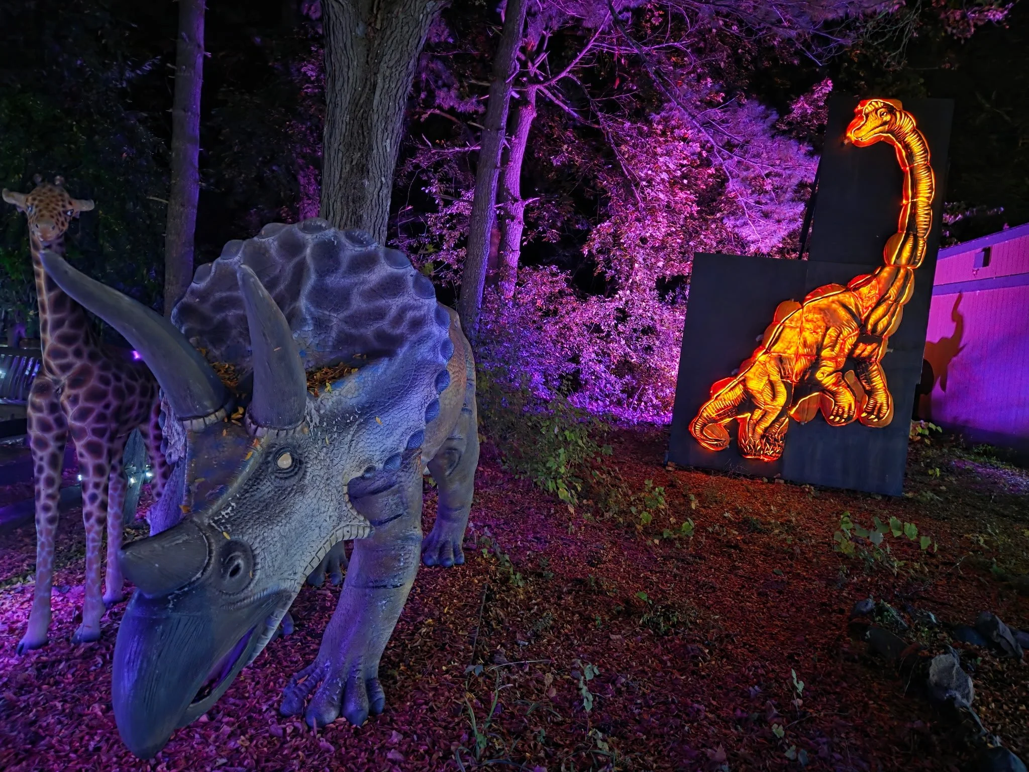 Dinosaur figures and an illuminated prehistoric carving add a surprise to the Halloween trail.
