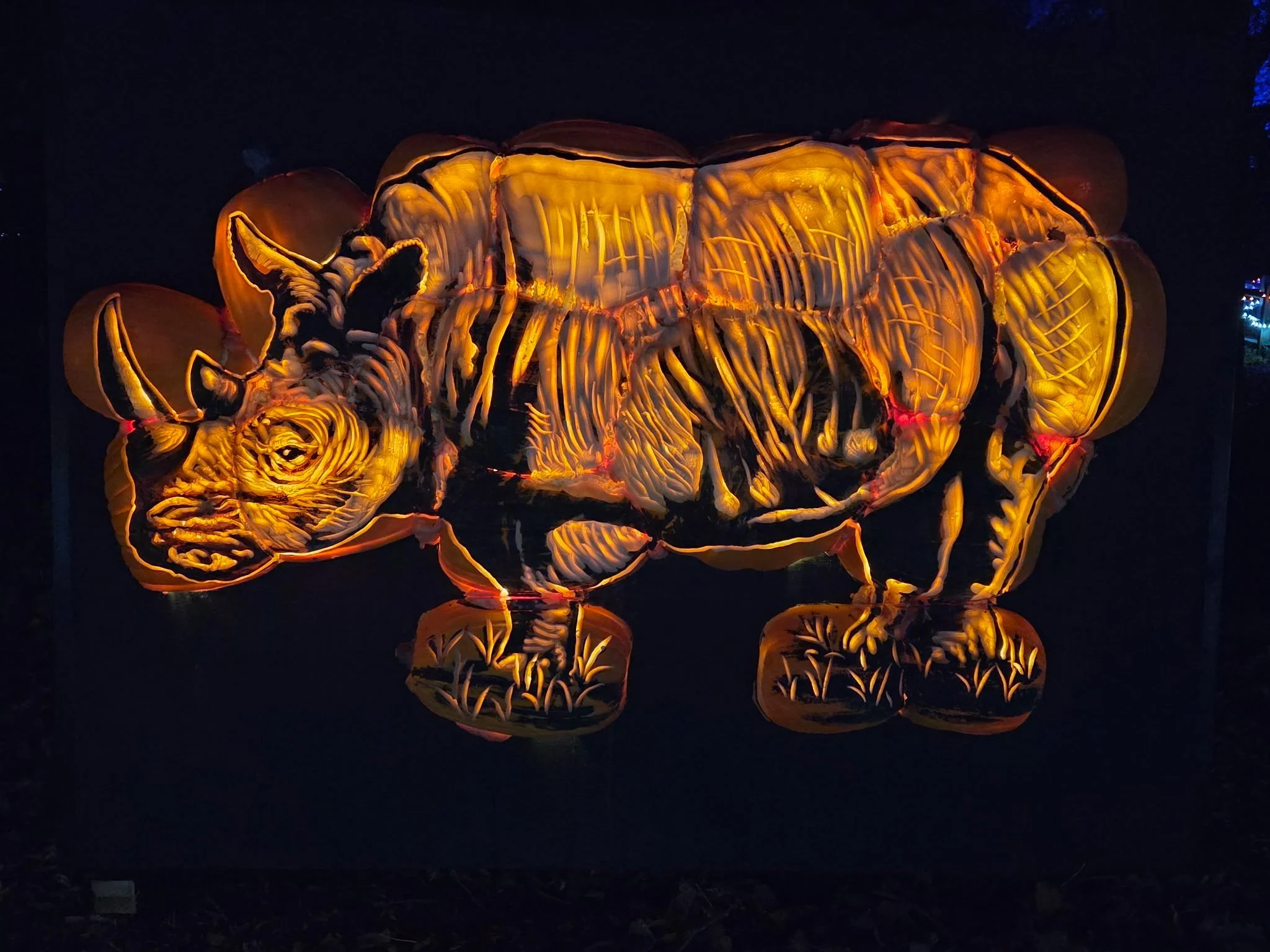An illuminated rhinoceros sculpture reveals intricate carving across several pumpkins.