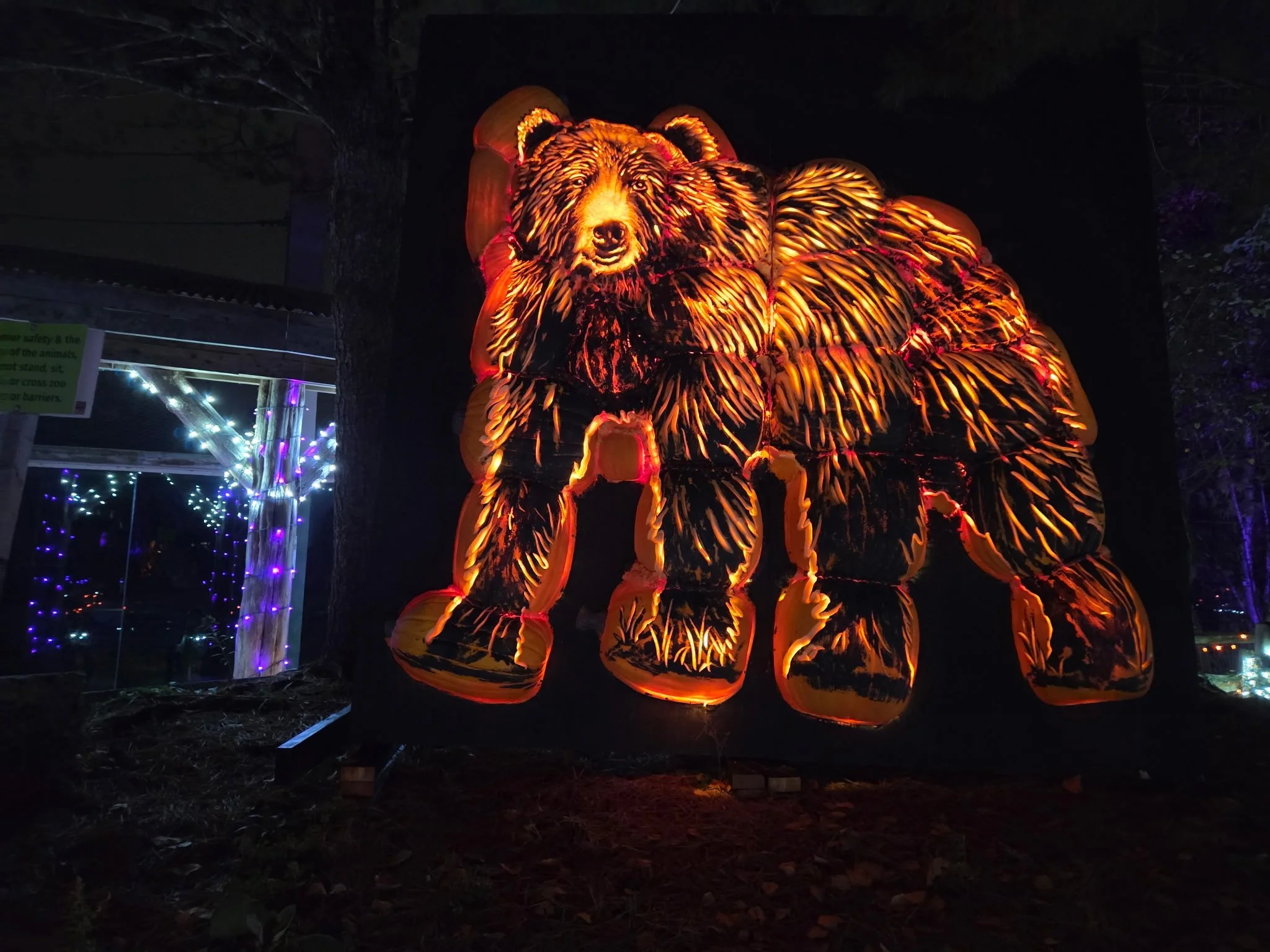 A carved bear glows against the nighttime woodland backdrop.
