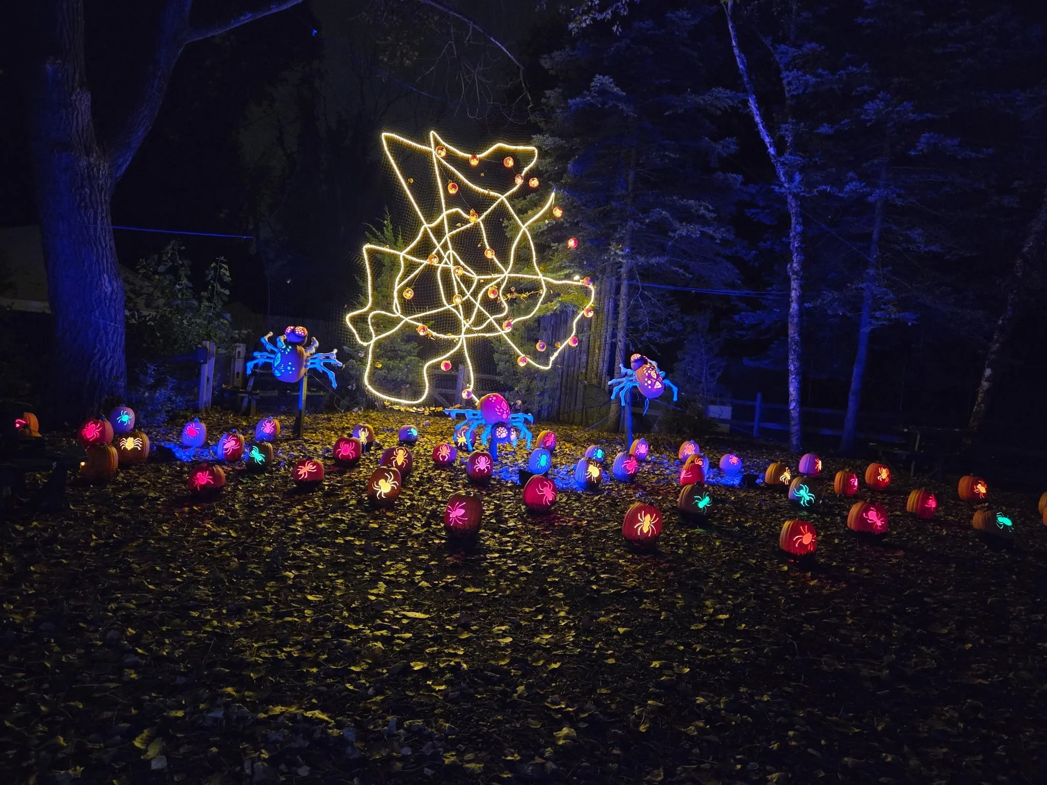 A glowing spiderweb and brightly colored pumpkin spiders create a playful Halloween display.