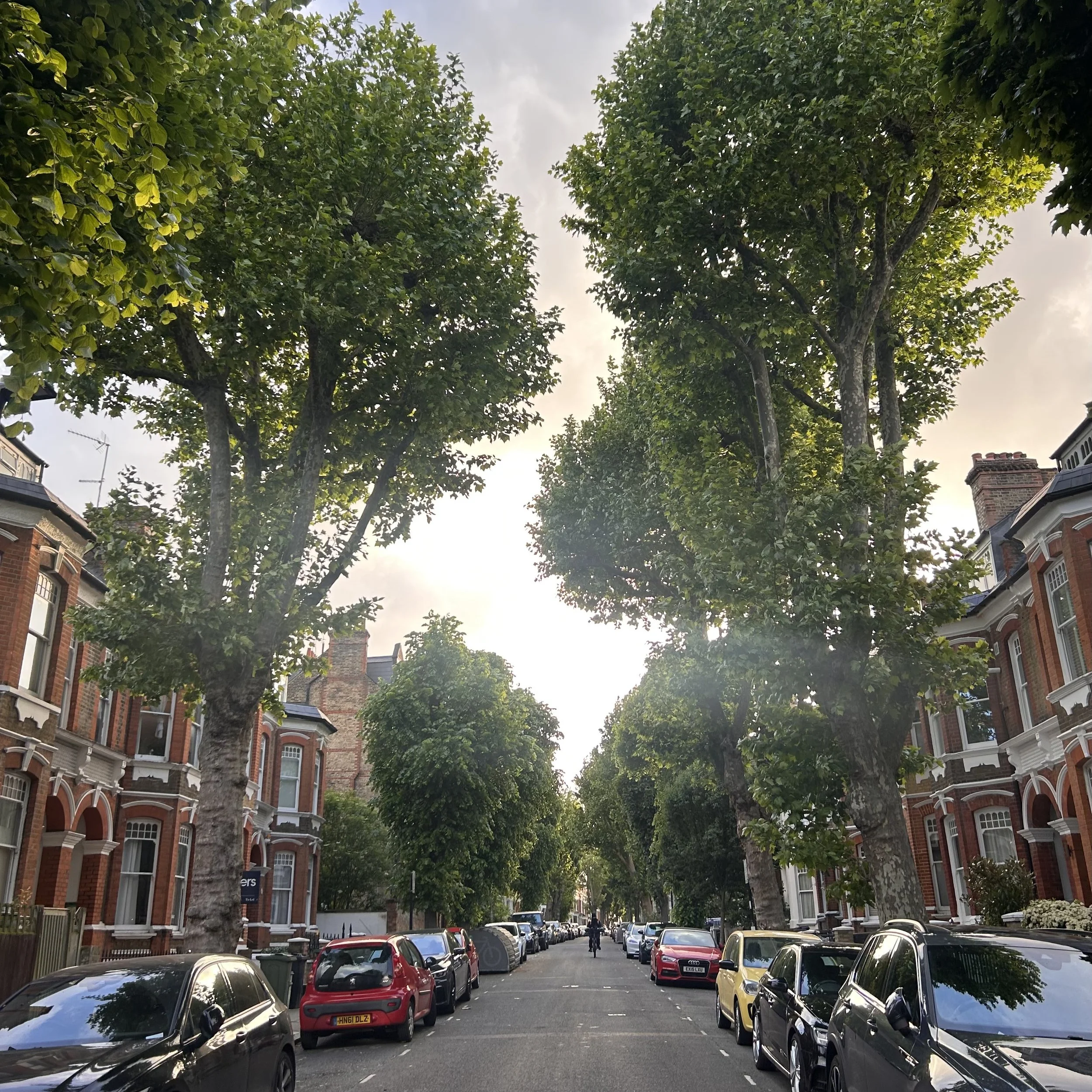 Tuesday, 7.35pm