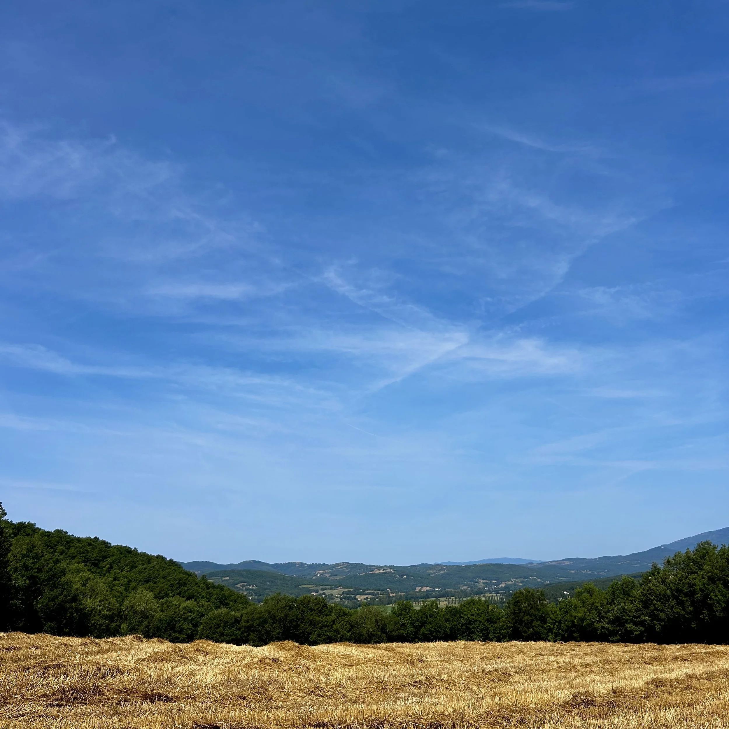 Thursday, 10.27am