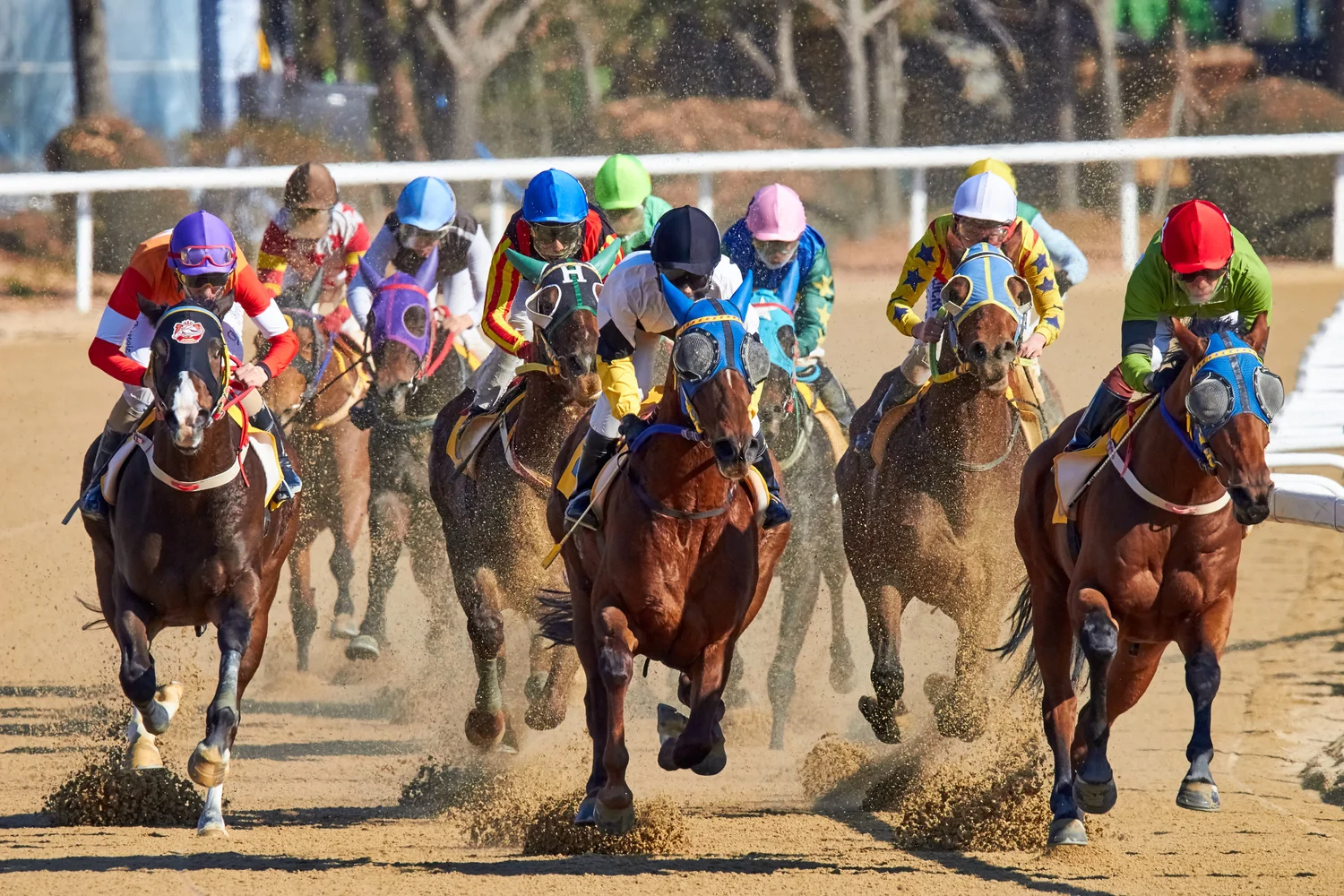 golden gate fields turf club dress code Day at the Races