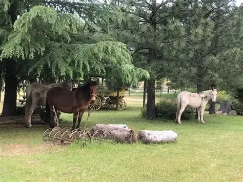 CANCELLED! DAY TRIP - ELEVEN ROSES RANCH