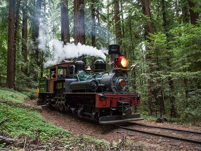 DAY TRIP - ROARING CAMP RAILROADS - TRAIN RIDE &amp; LUNCH