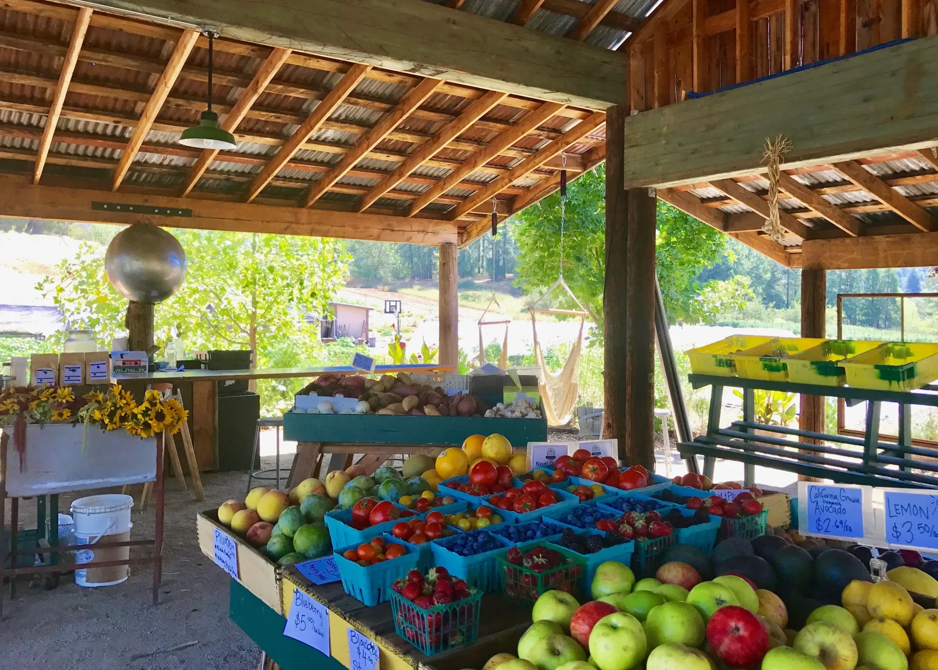 APPLE HILL AT HIGH HILL RANCH