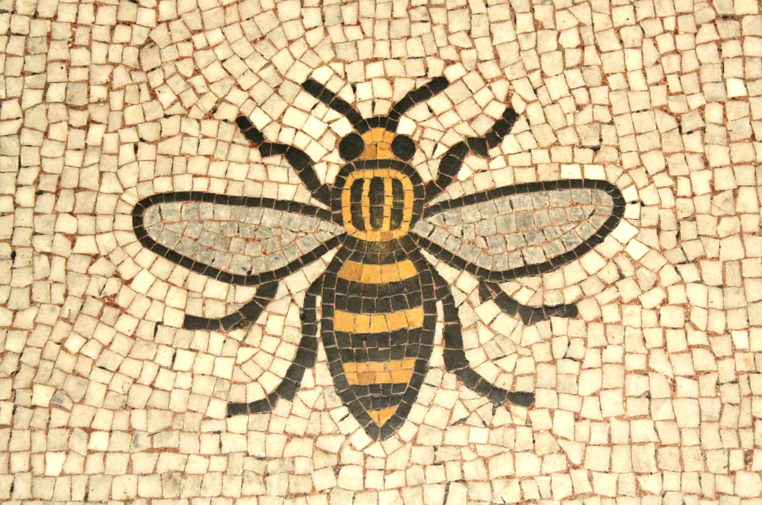 Manchester Bees, Spiders, and Ants.