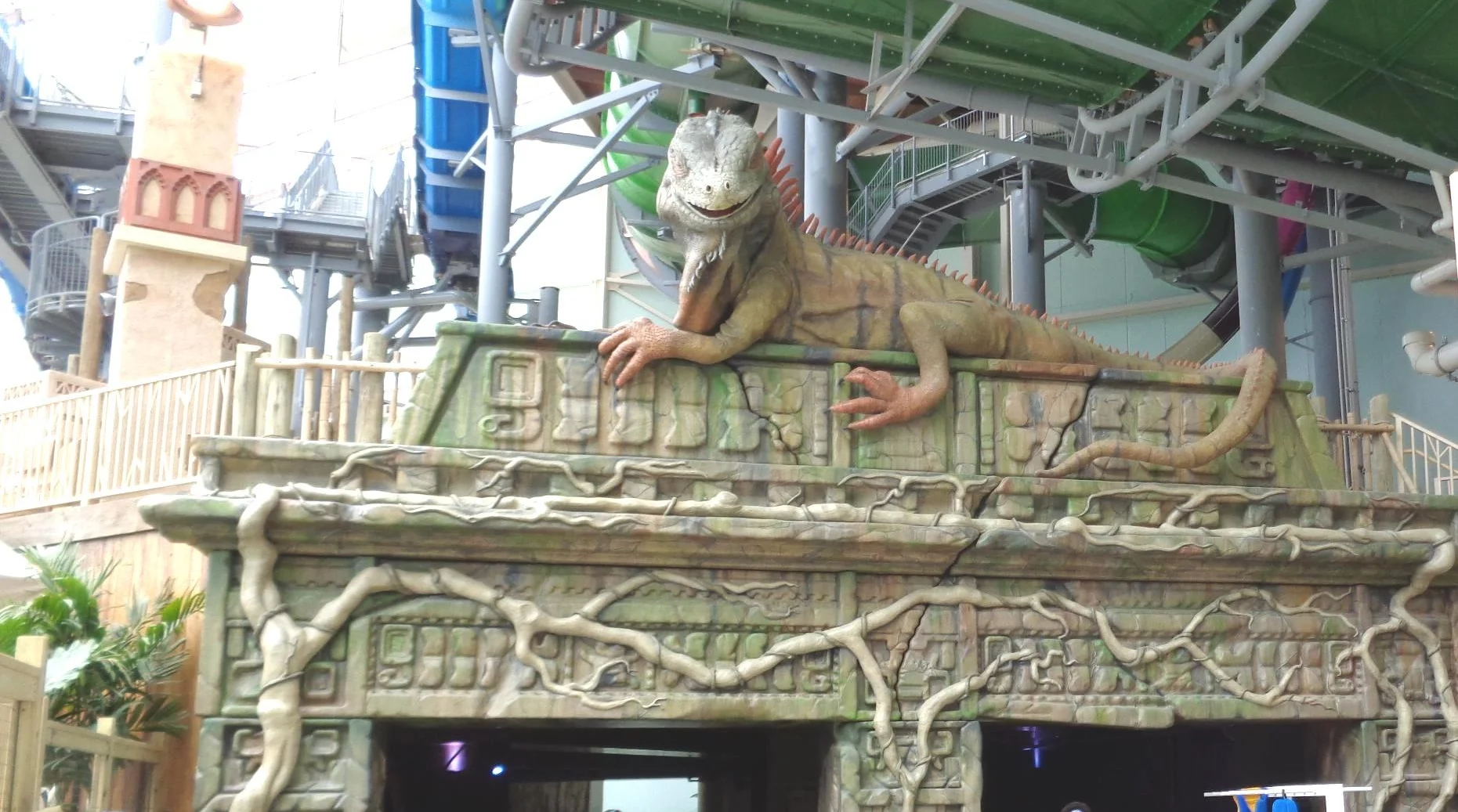 Lazy River Iguana2.JPG