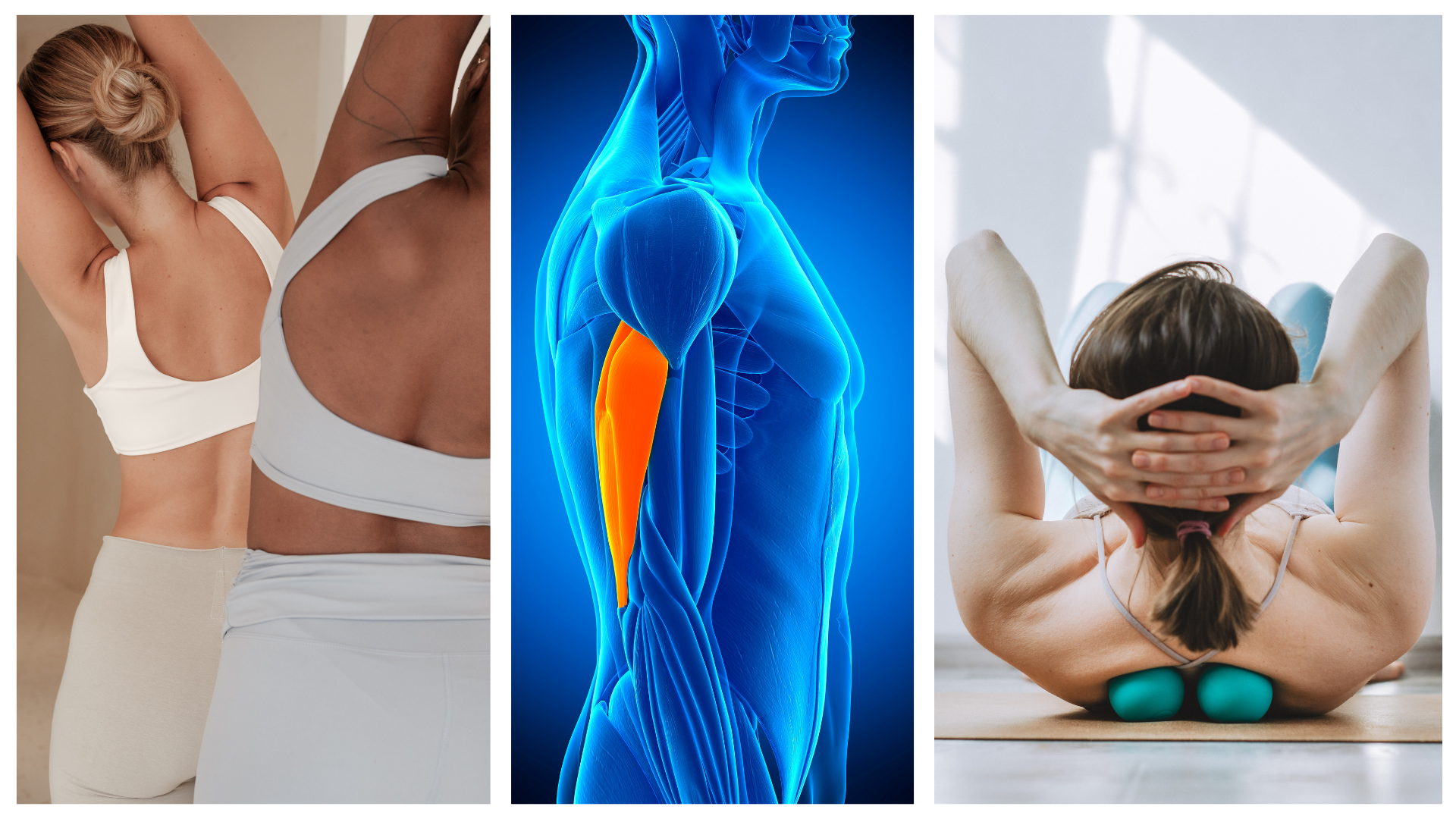 Know Your Shoulders: A Deep Dive with Martha