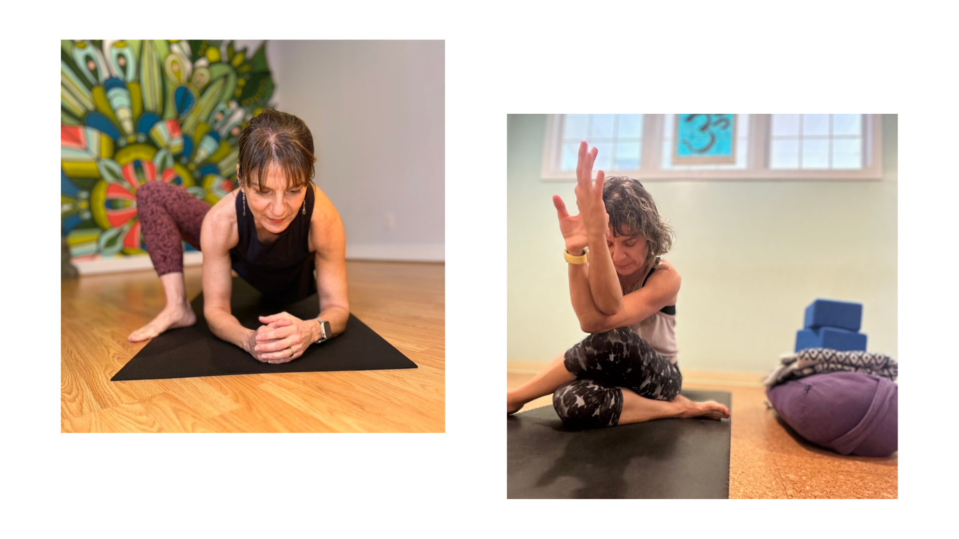 Functional Yin: A One-Day Workshop on Skeletal Variation &amp;  Anatomy with Sonia