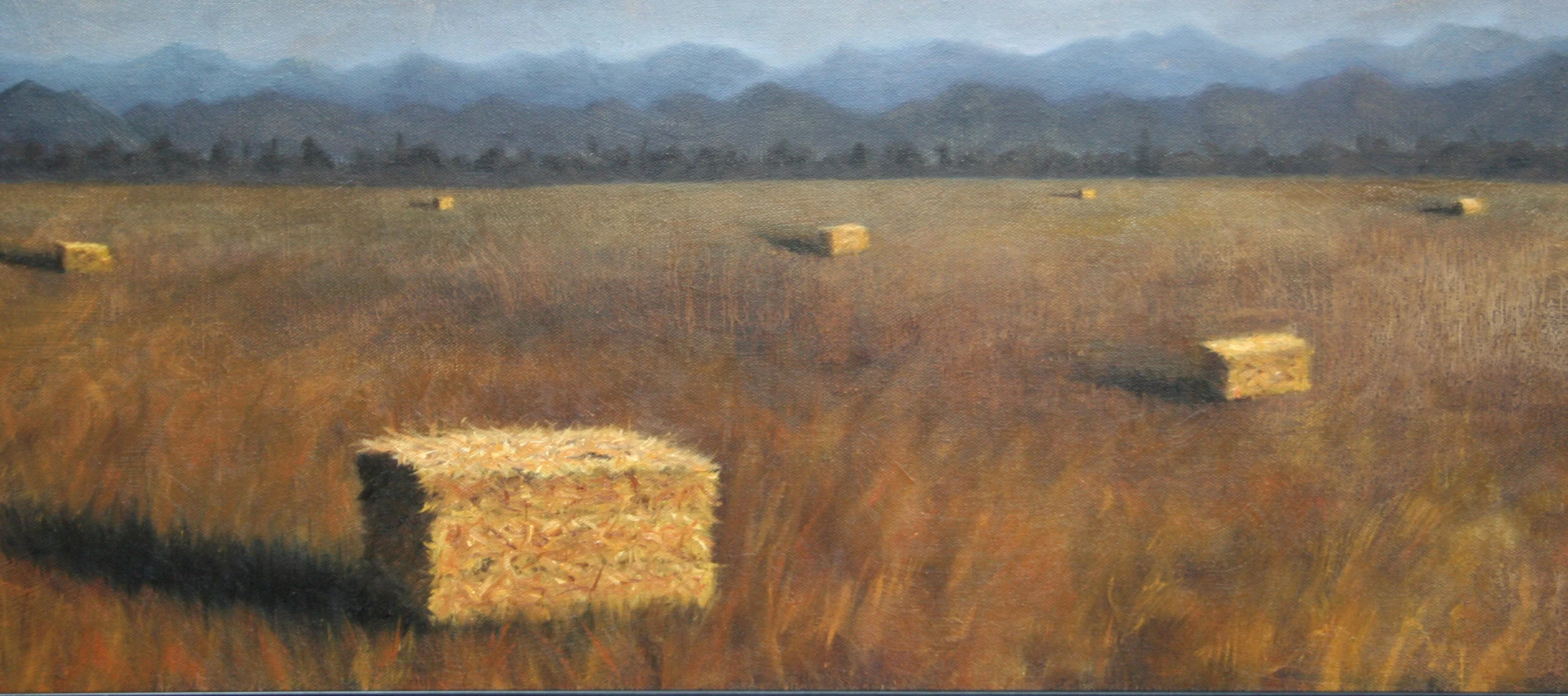 Bales.jpeg