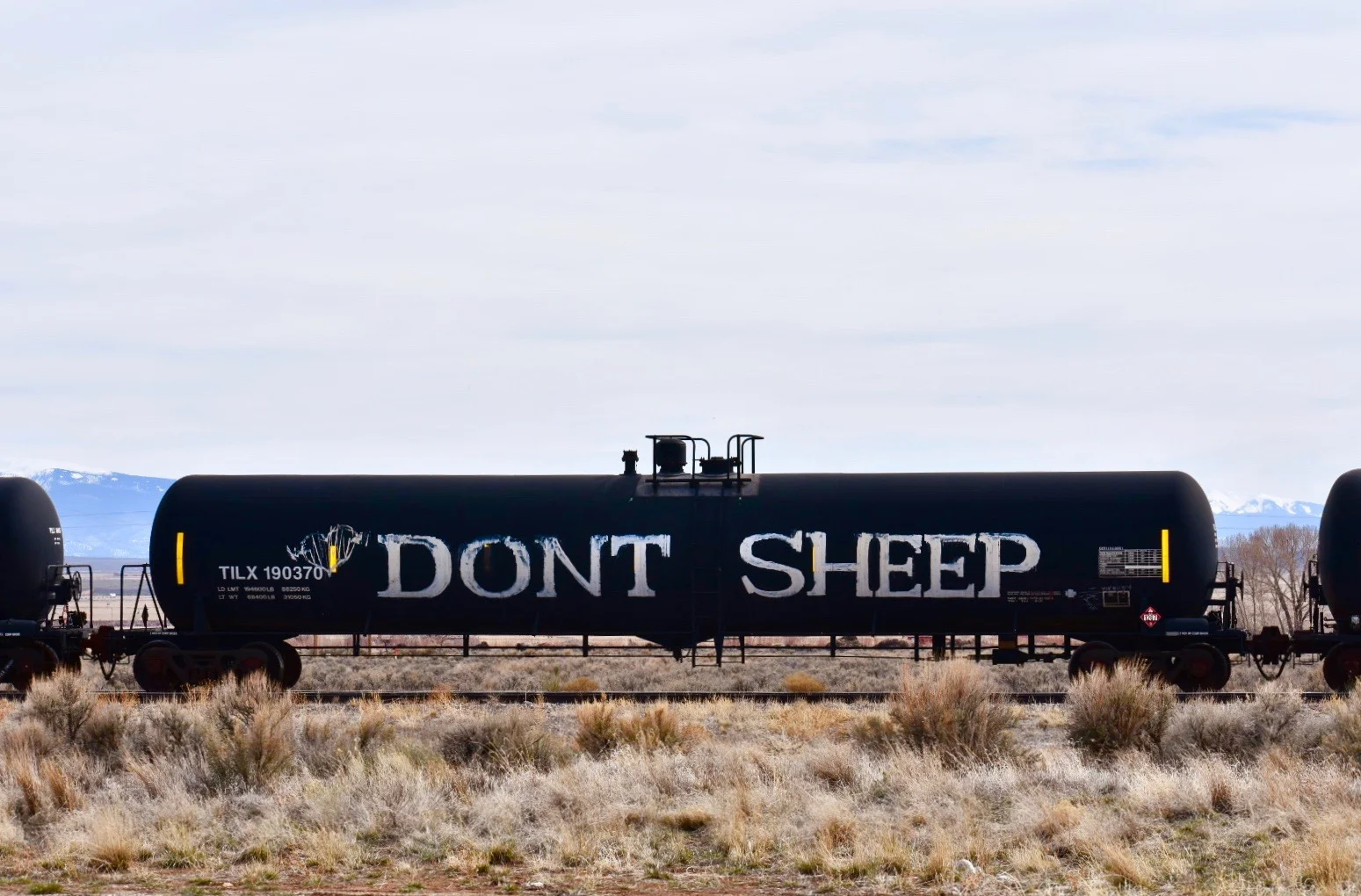Don’t Sheep, near Monte Vista, CO