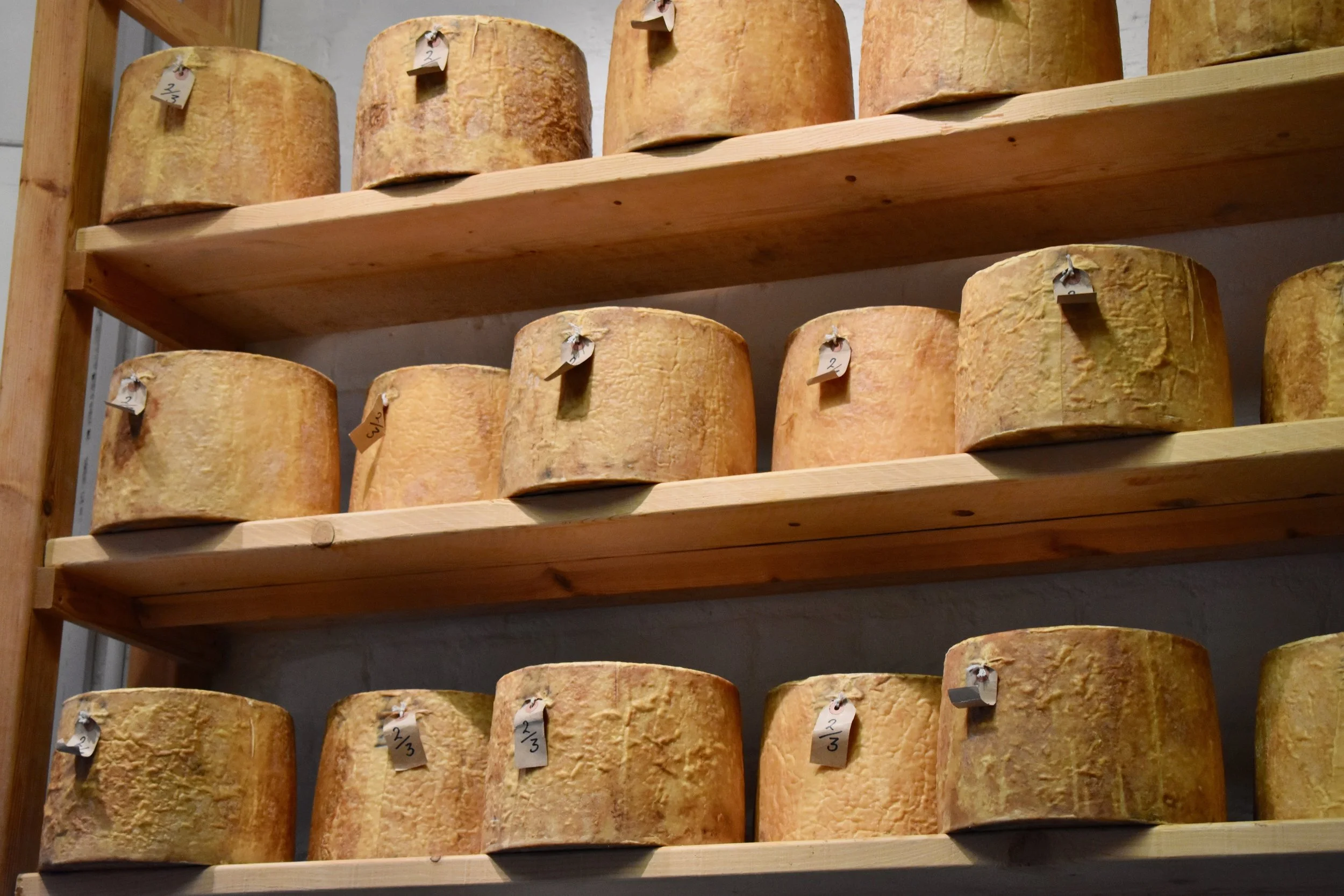 Neal’s Yard Cheese, London, England