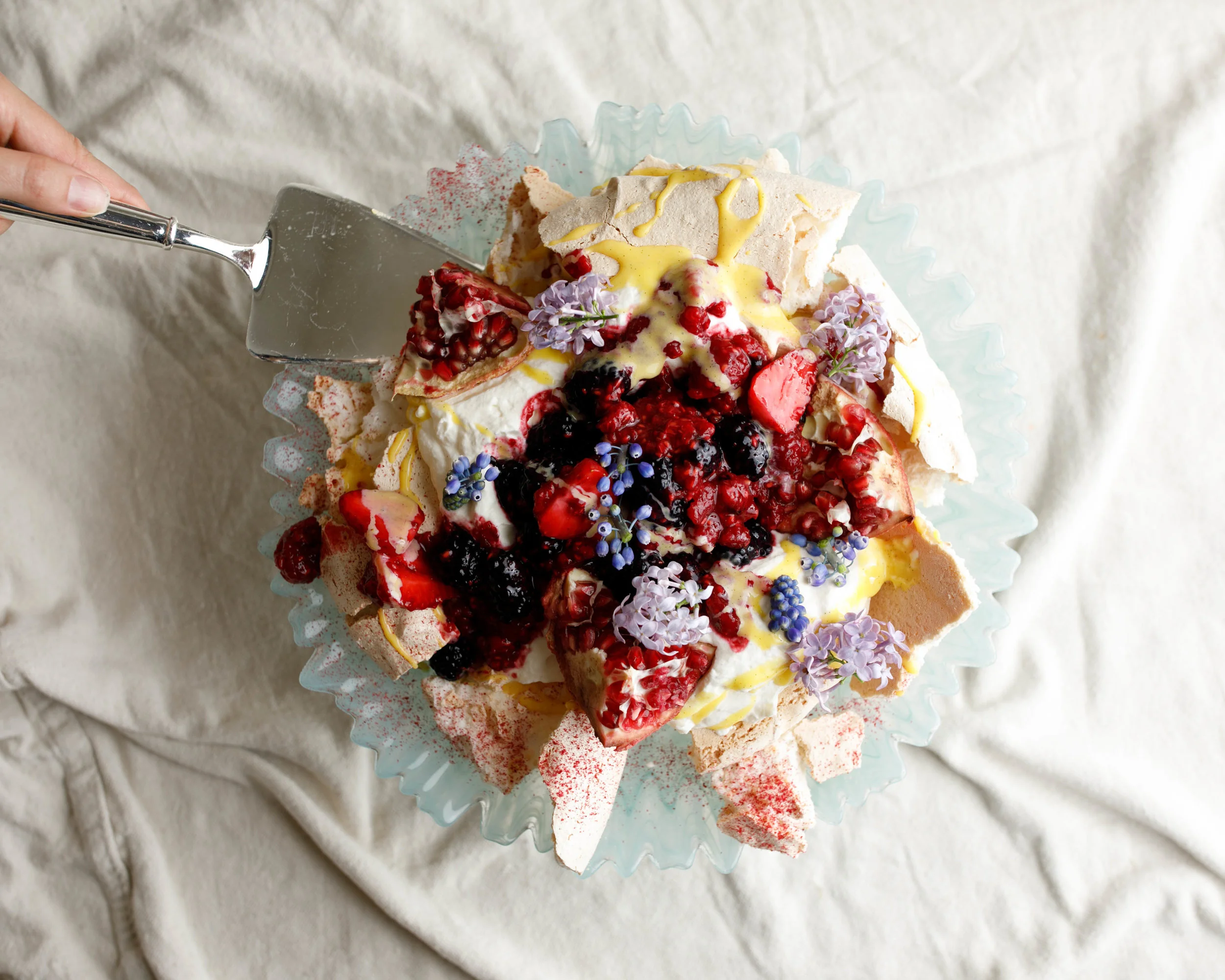 Pavlova Use.jpg
