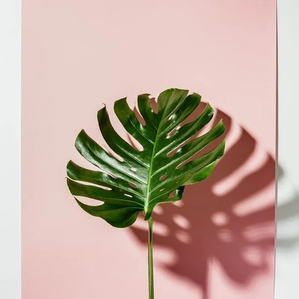 ⭐Tips on how to dream big⭐

I work with clients who are seeking powerful progress in their professional and personal lives -whether it&rsquo;s nailing your purpose, that promotion, refreshing your outlook or mapping your pathto a new career - the pac