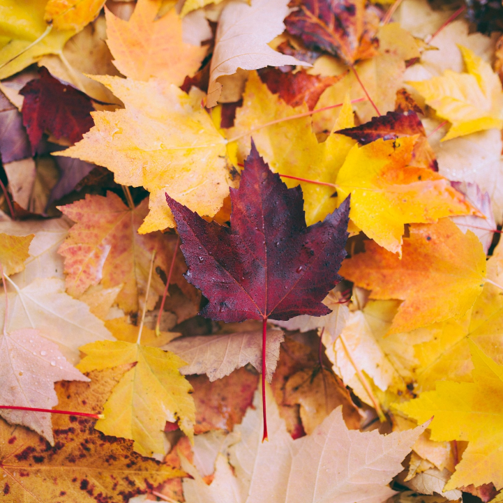 The September Opportunity