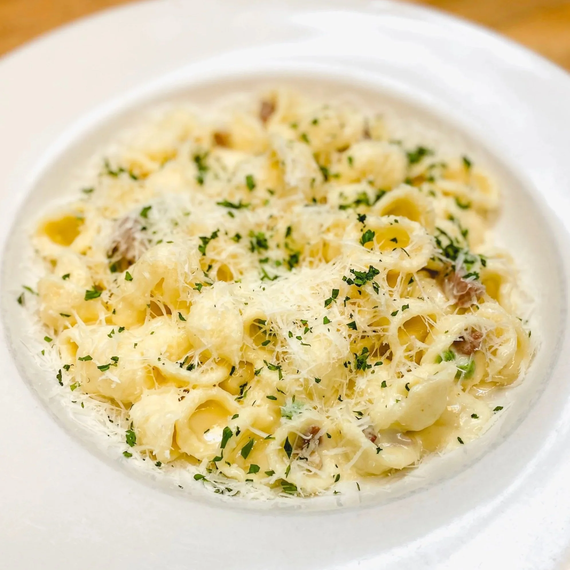 A plate of creamy pasta topped with grated cheese and chopped parsley.